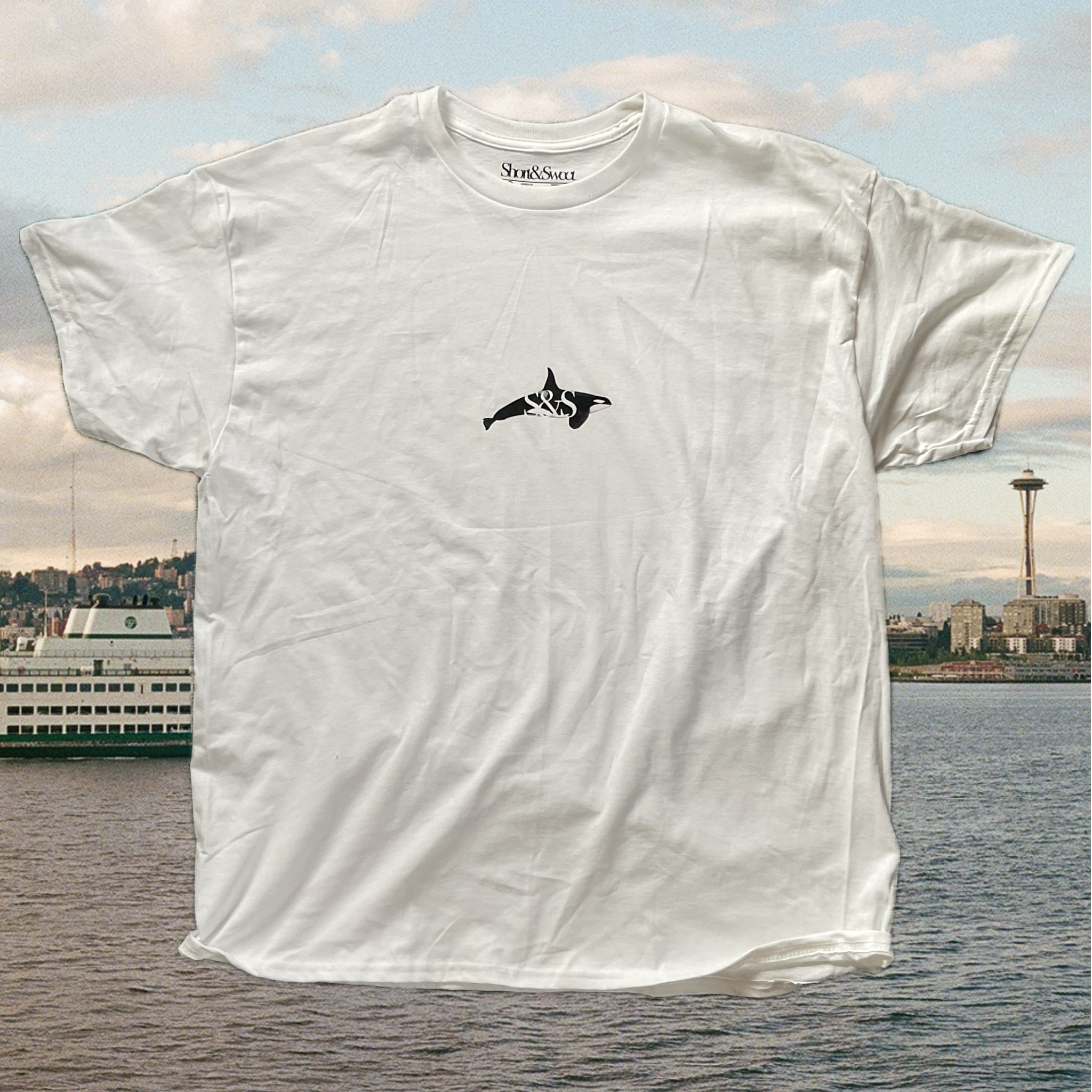 Orca front - initial drop.png