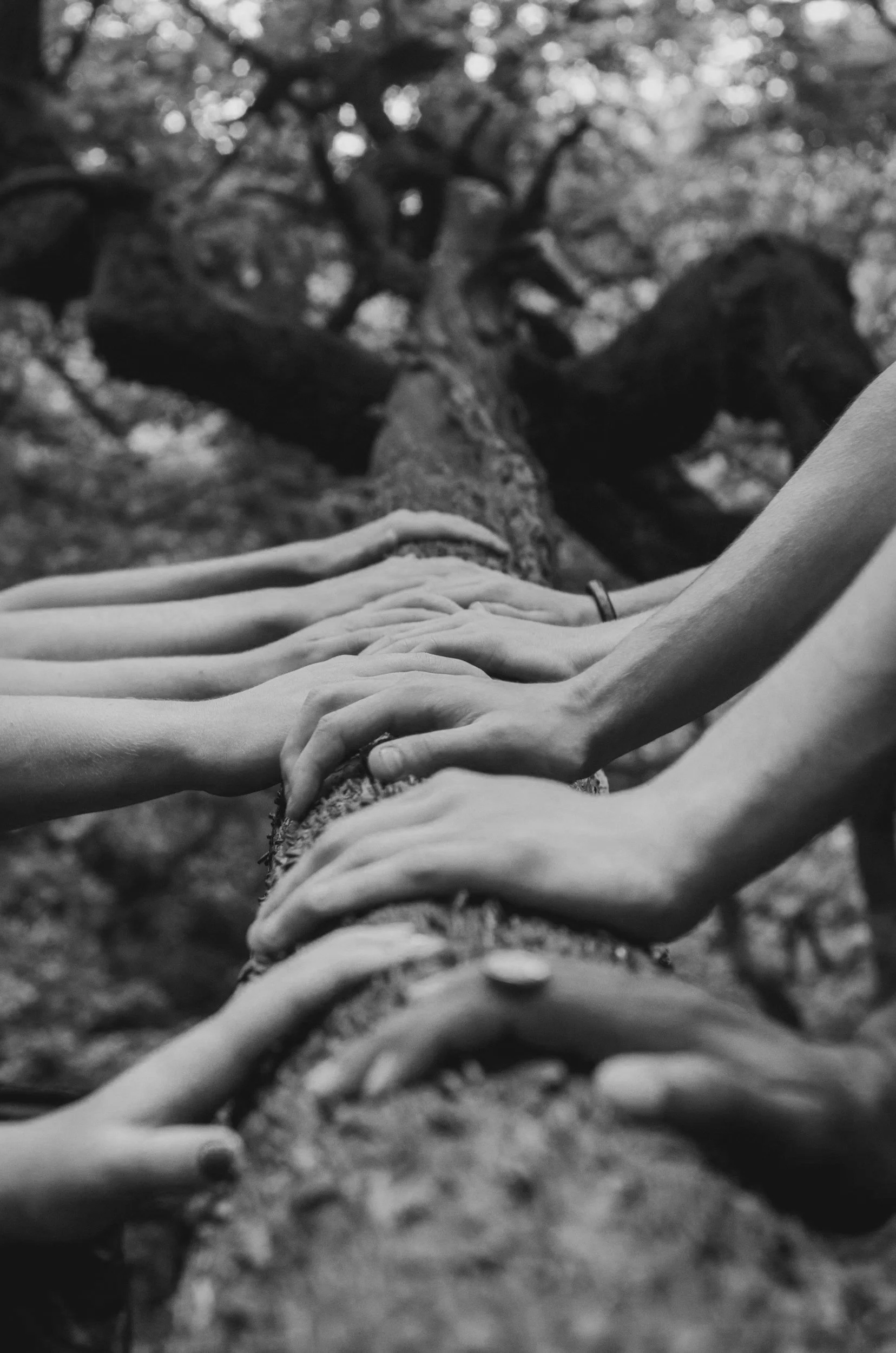 Trustees Jonathan Kaye, Jennifer Leng, Jordan Kaye, and Jocelyn Kaye created a dedicated, evergreen fund committed to supporting and enhancing life in New York City and beyond.