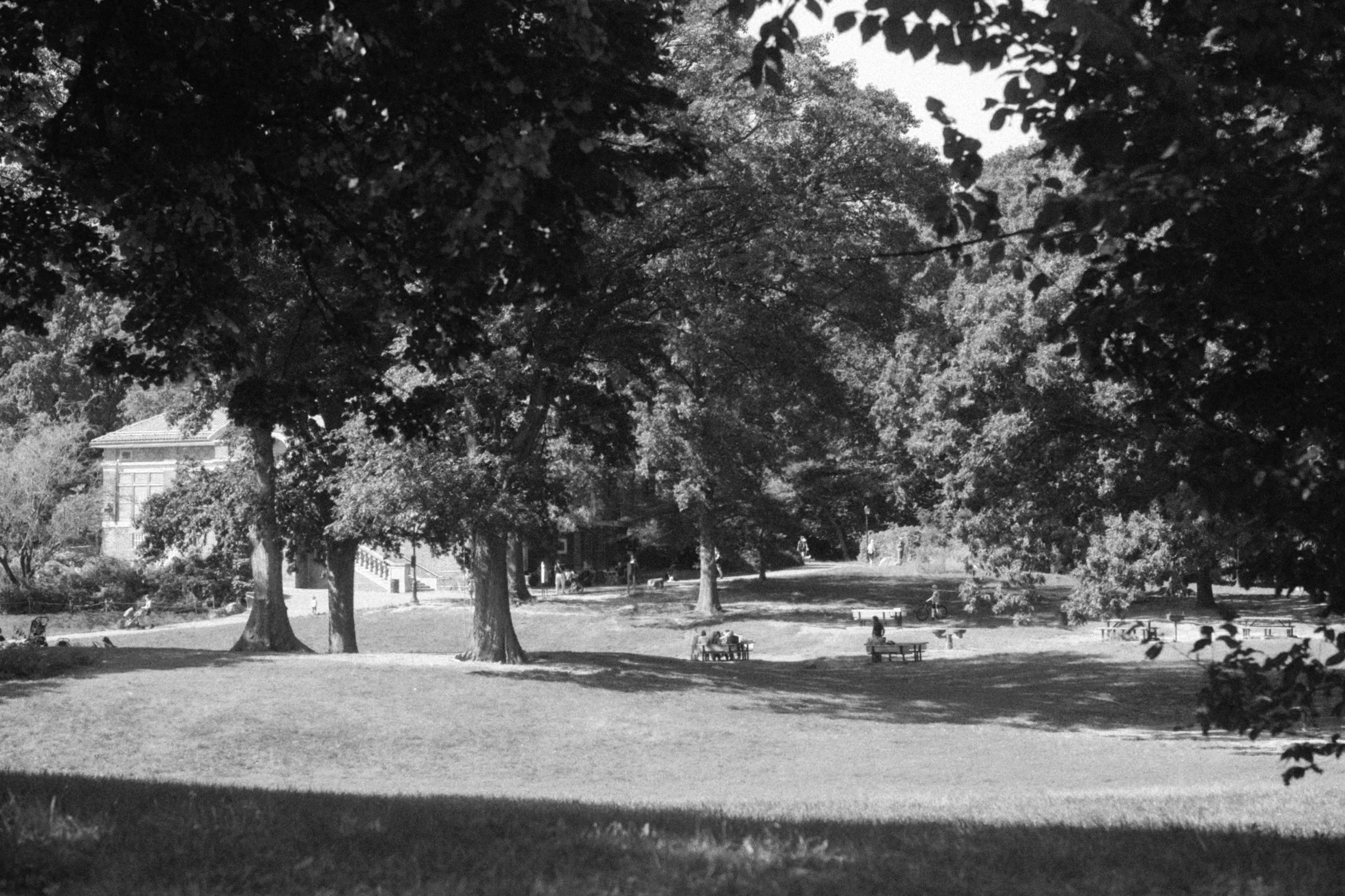 Prospect Park Alliance is one of the causes supported by Jonathan Kaye and The  Kaye Family Foundation.