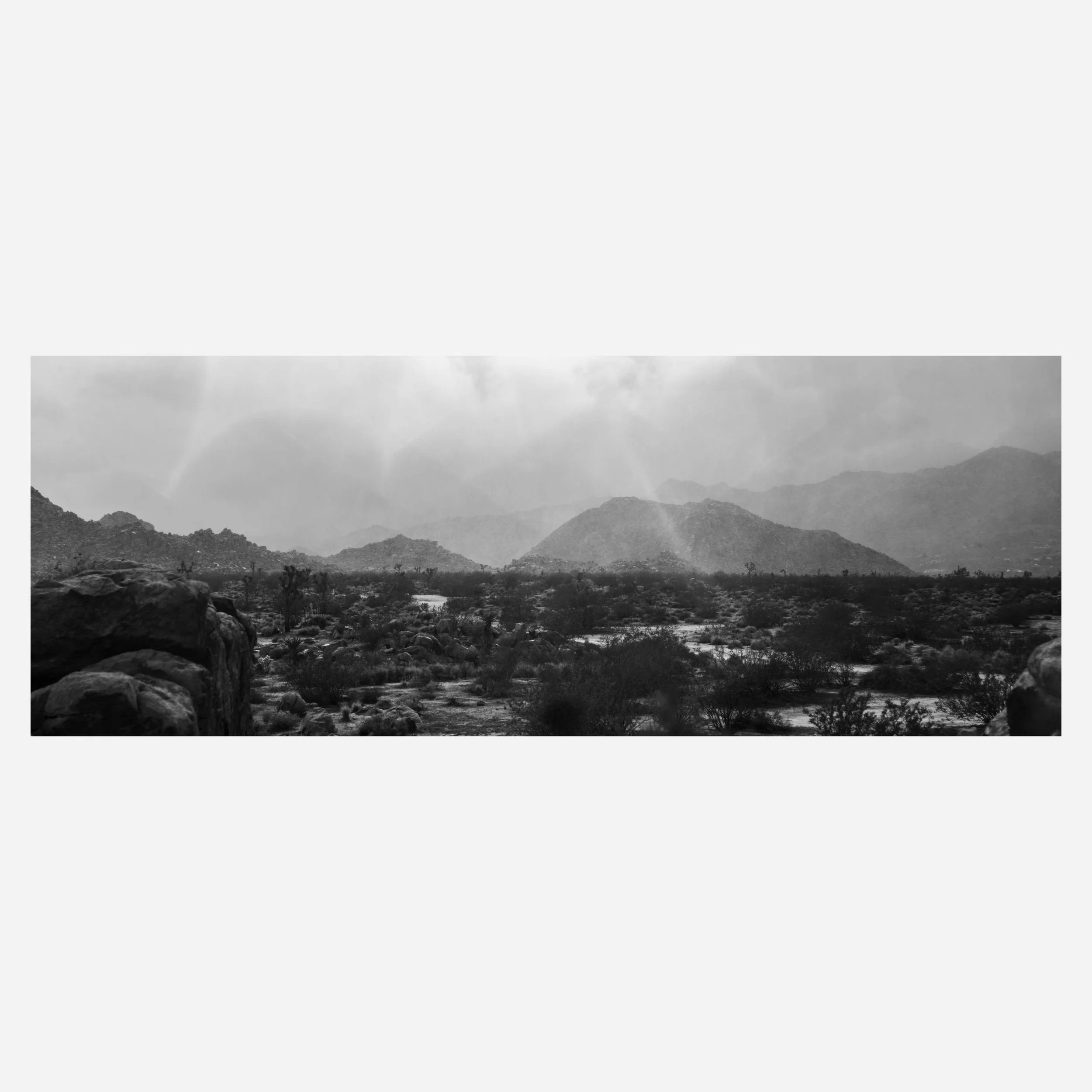 Desert View, 2025