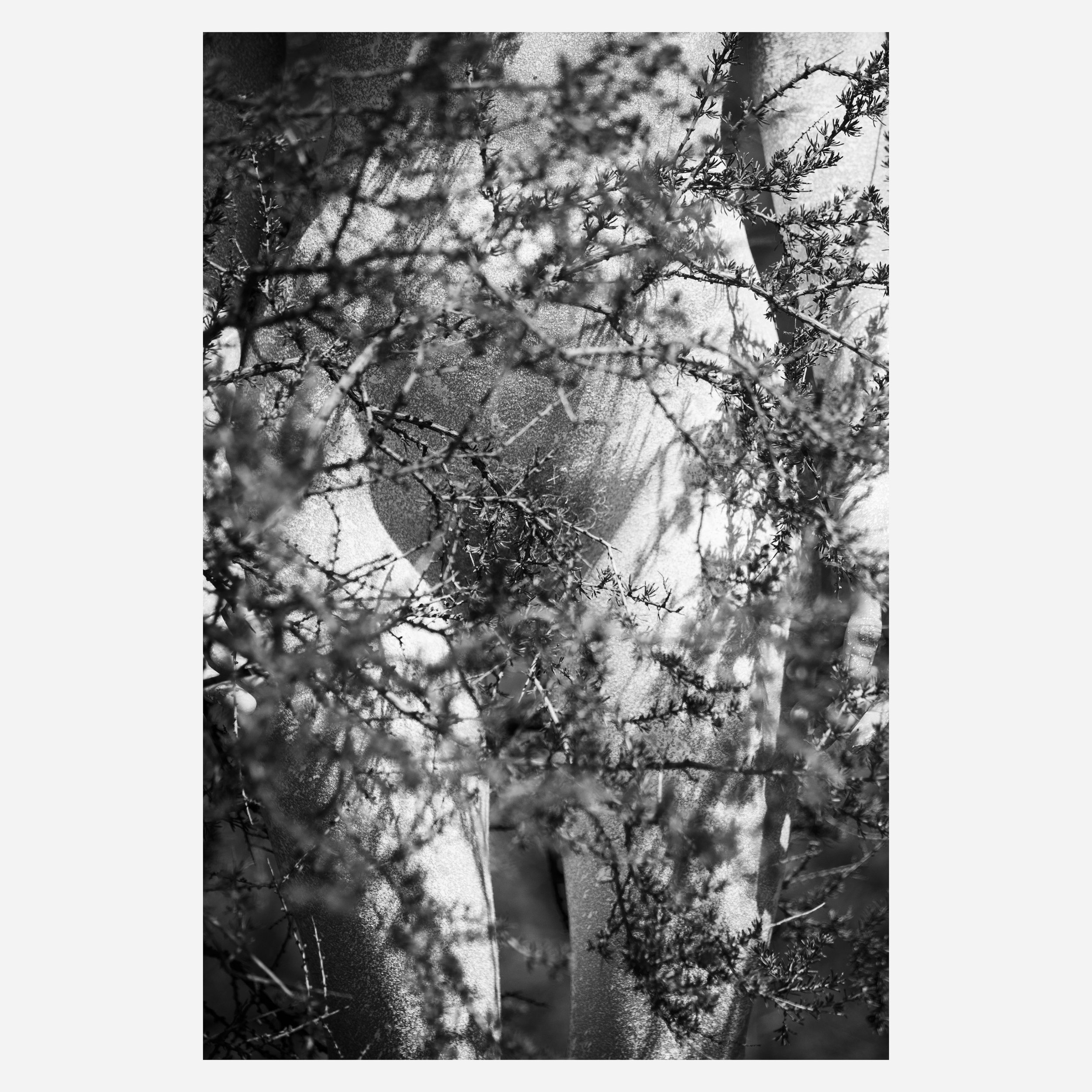 Alex, Hidden, 2018