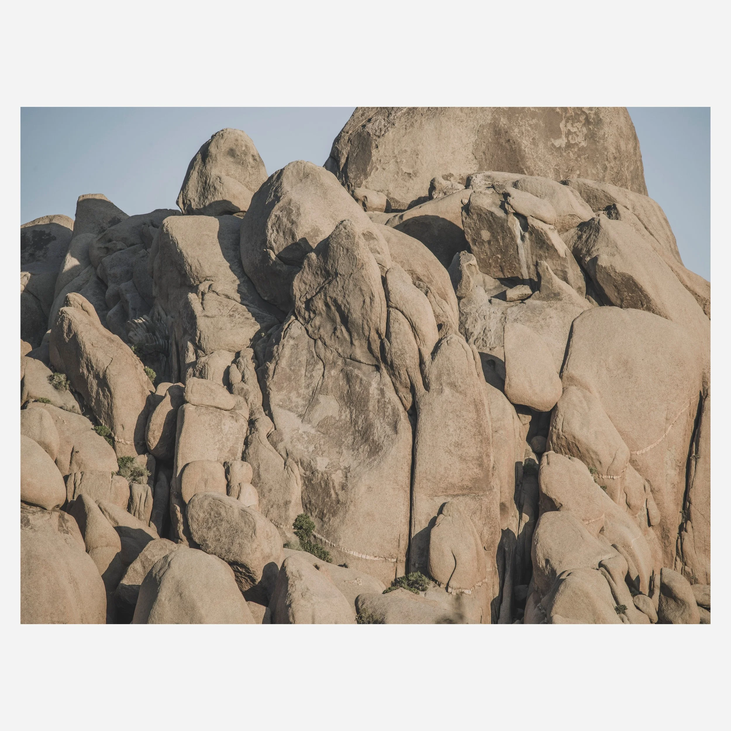 Joshua Tree, 2026