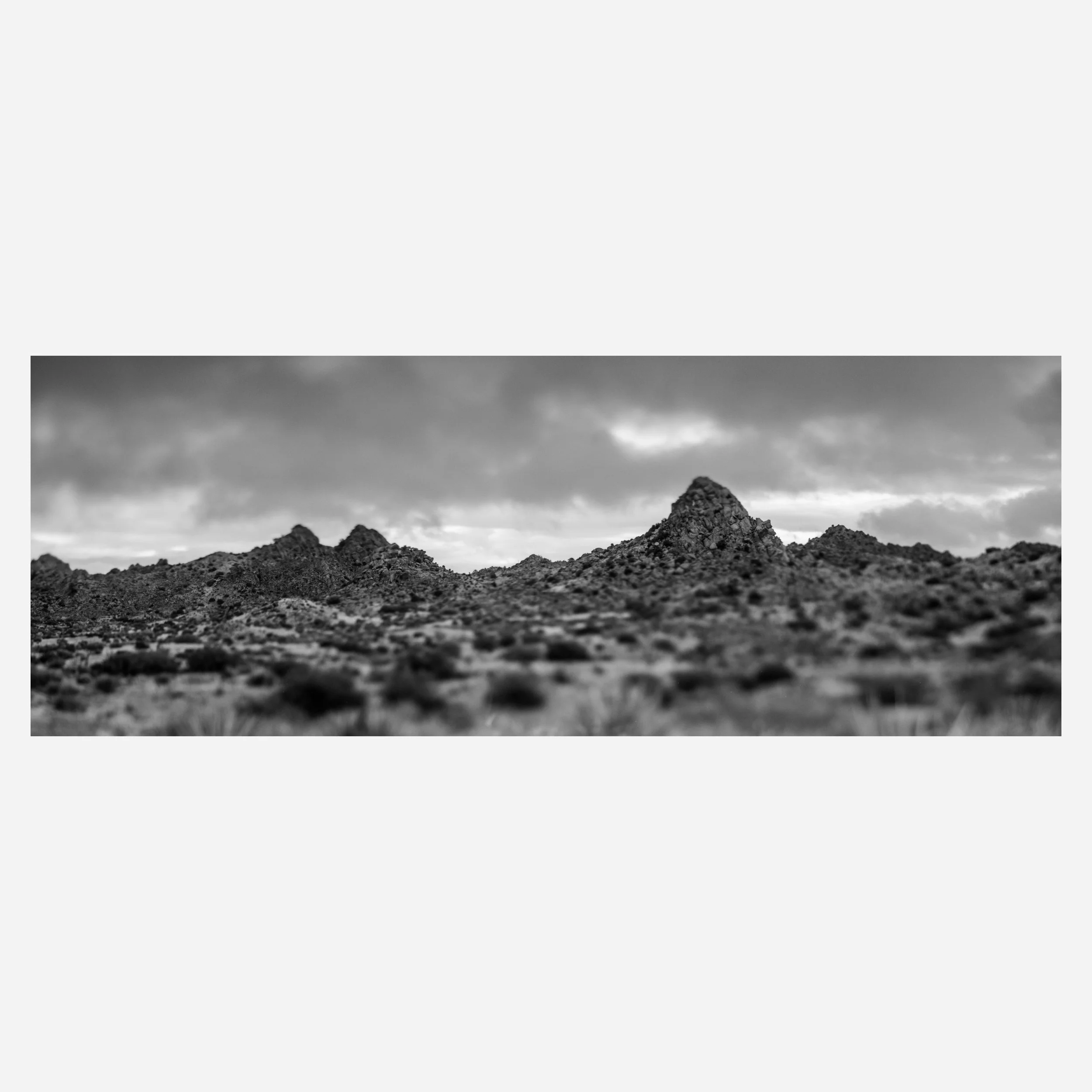 Pioneertown, 2026