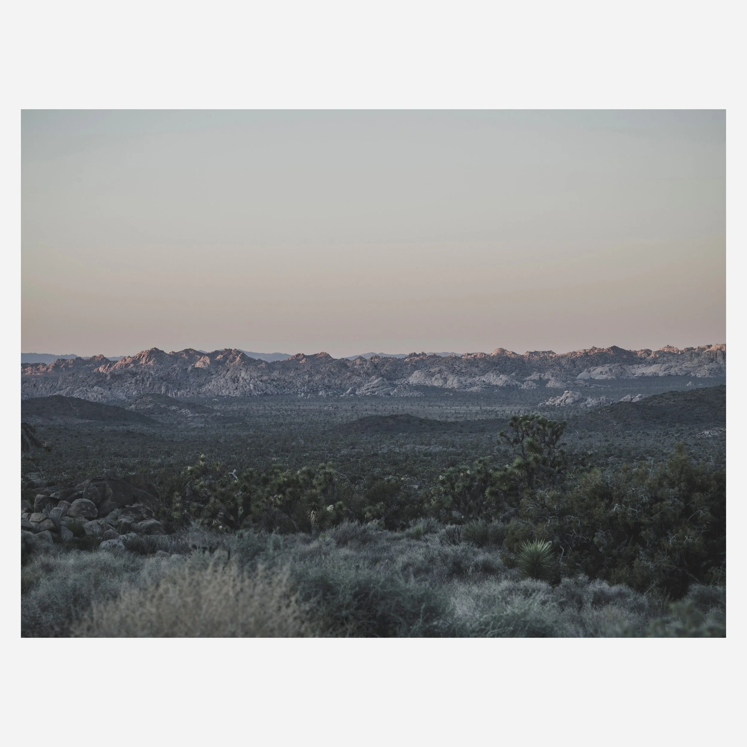 Joshua Tree, 2026