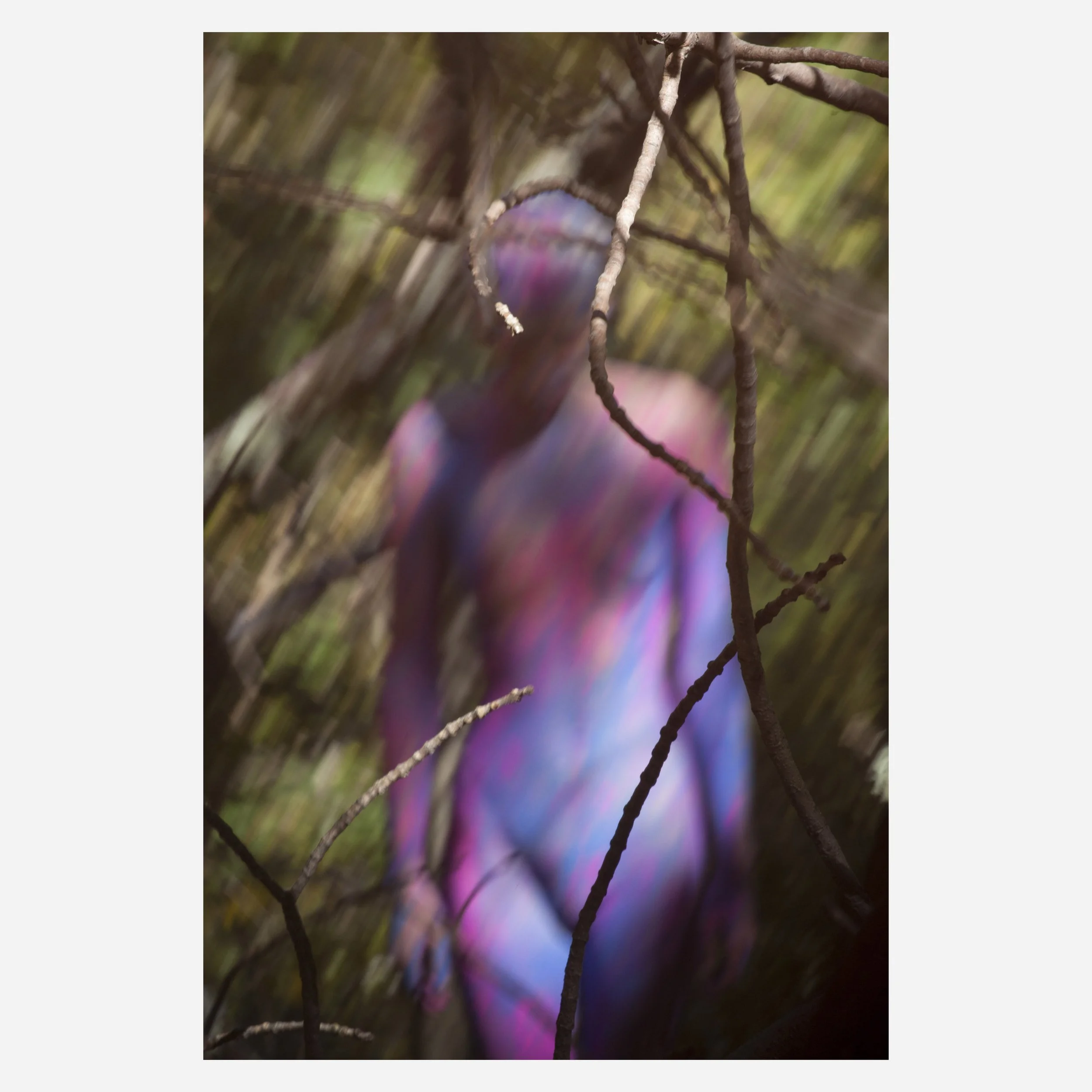 Dorith, Rainbows, 2013