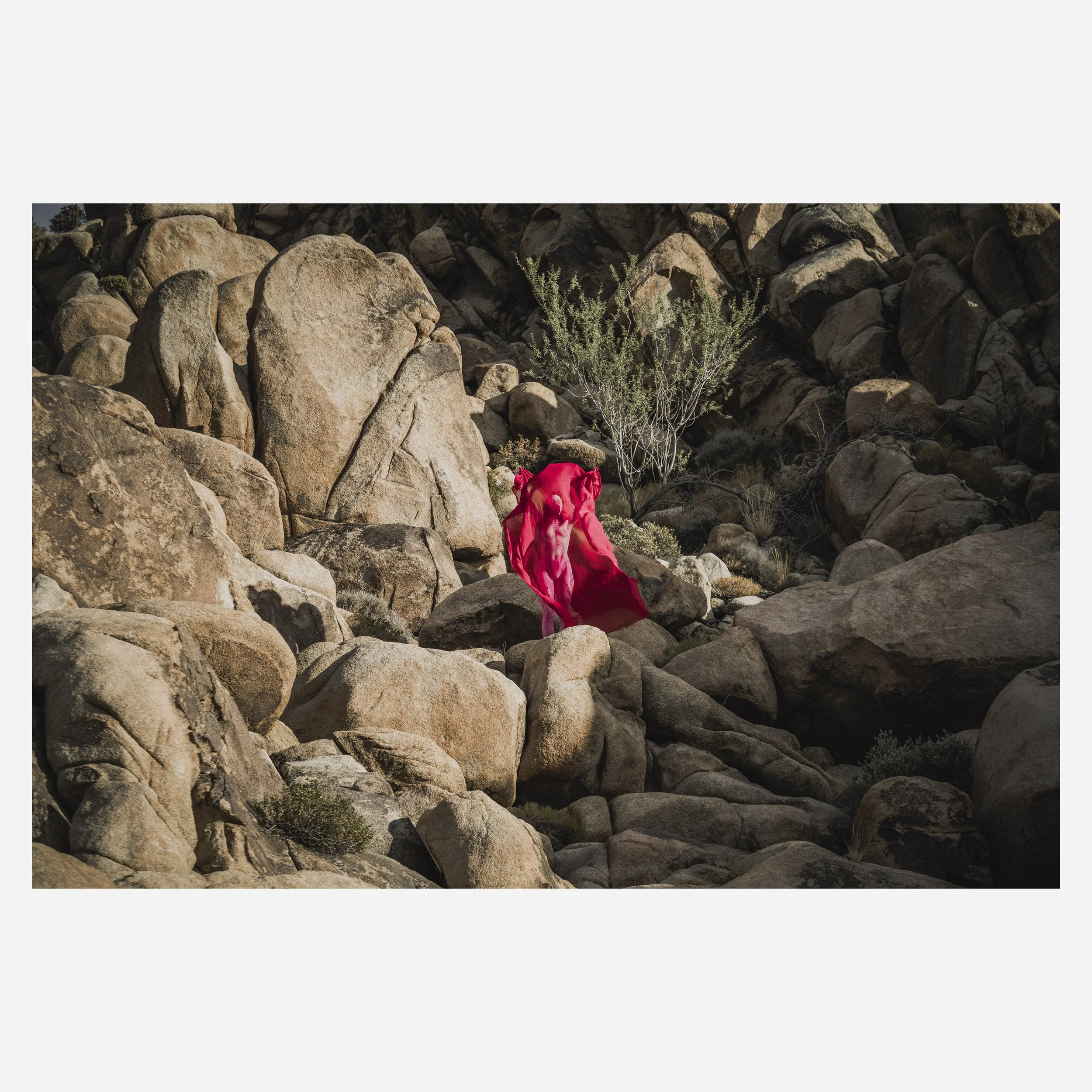 Maria, Shrouded, 2024