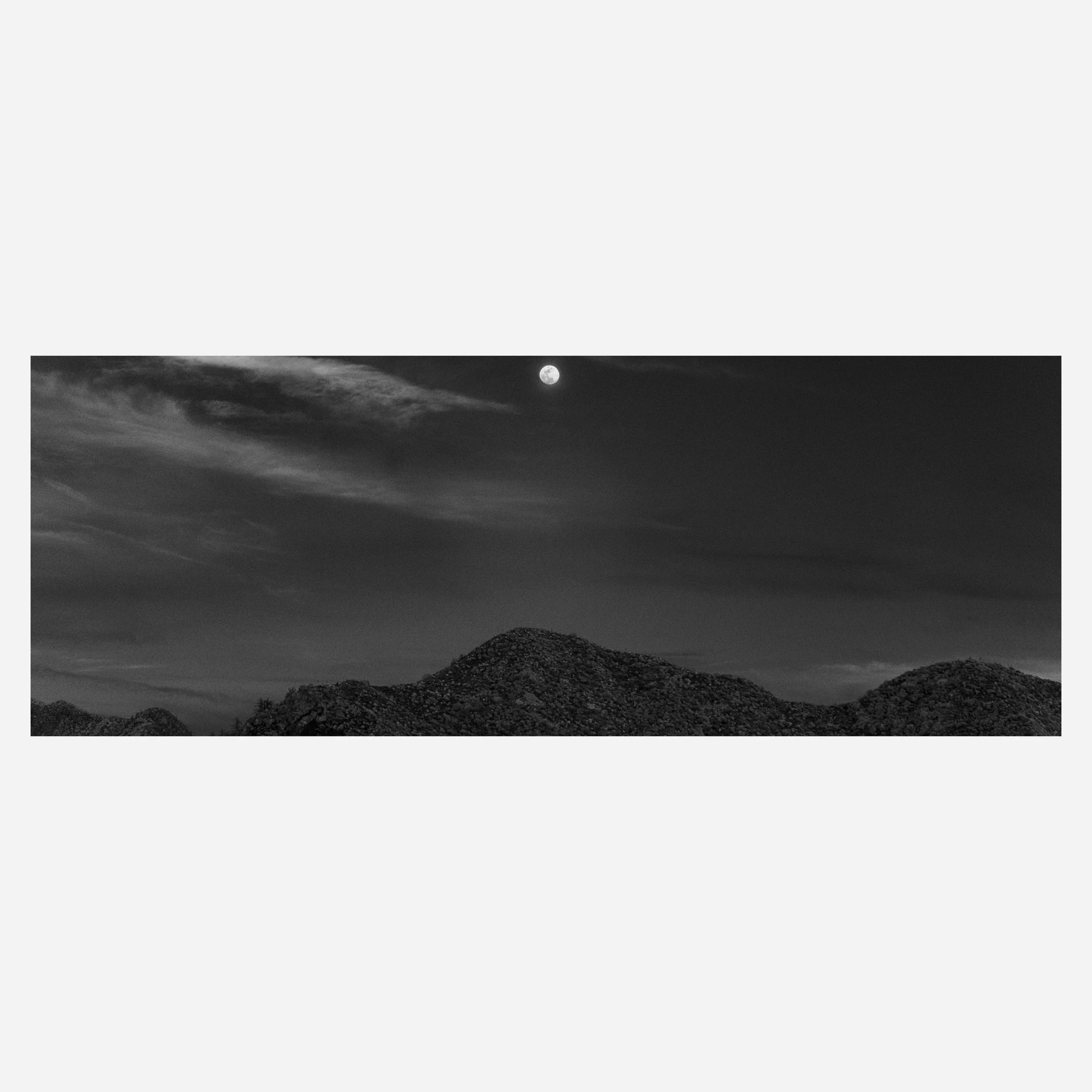Angeles Crest, 2026