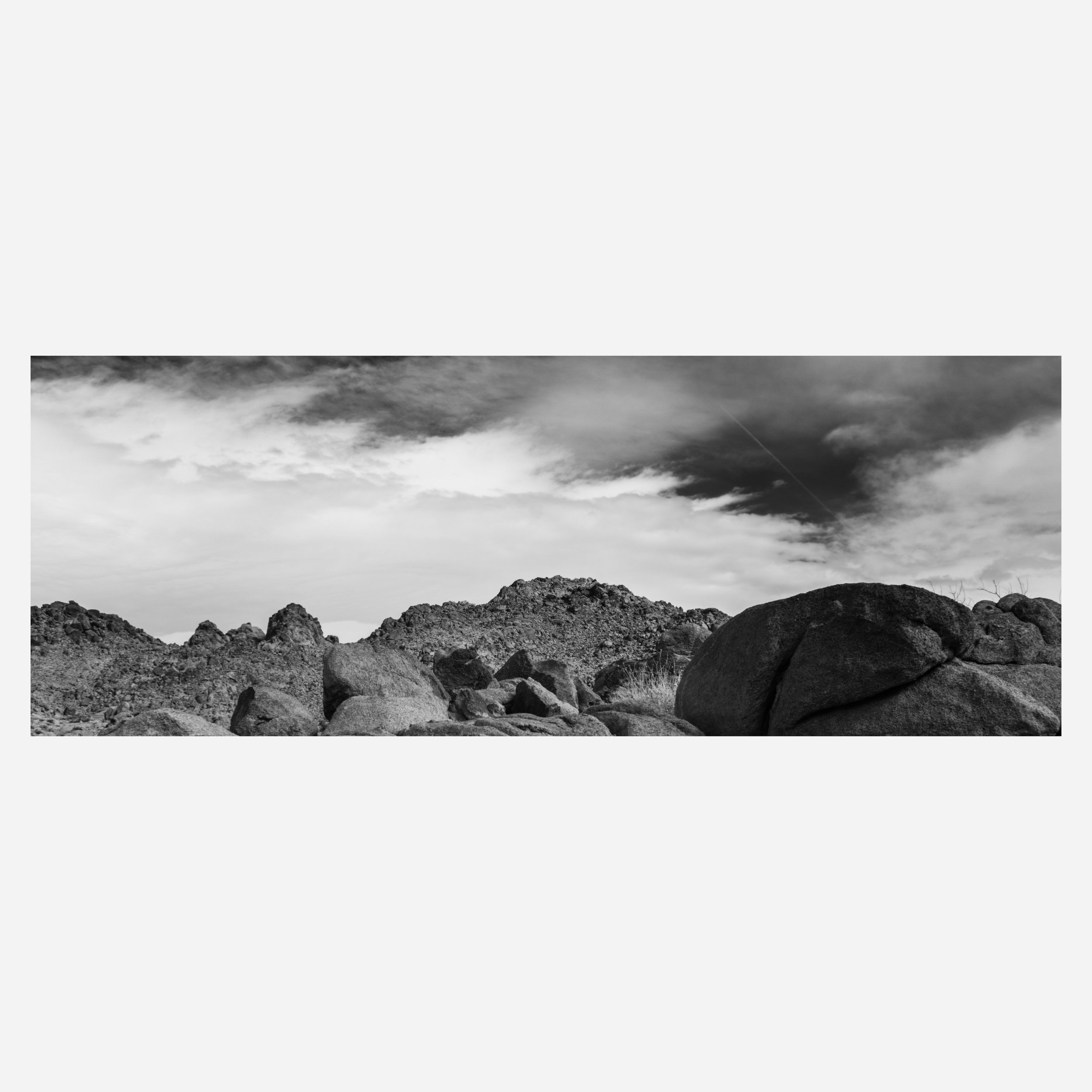 Joshua Tree, 2025