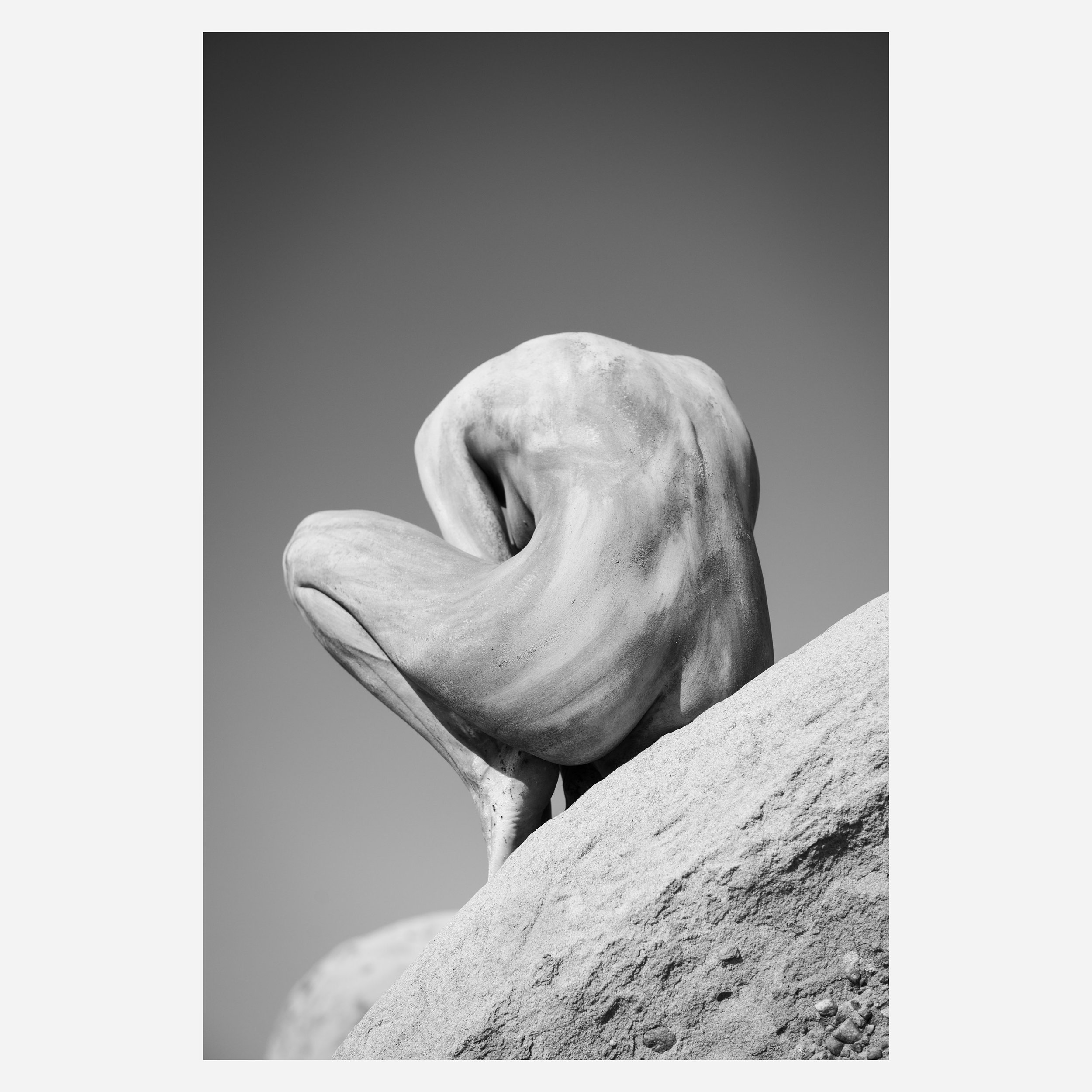 Alex, Back, 2018