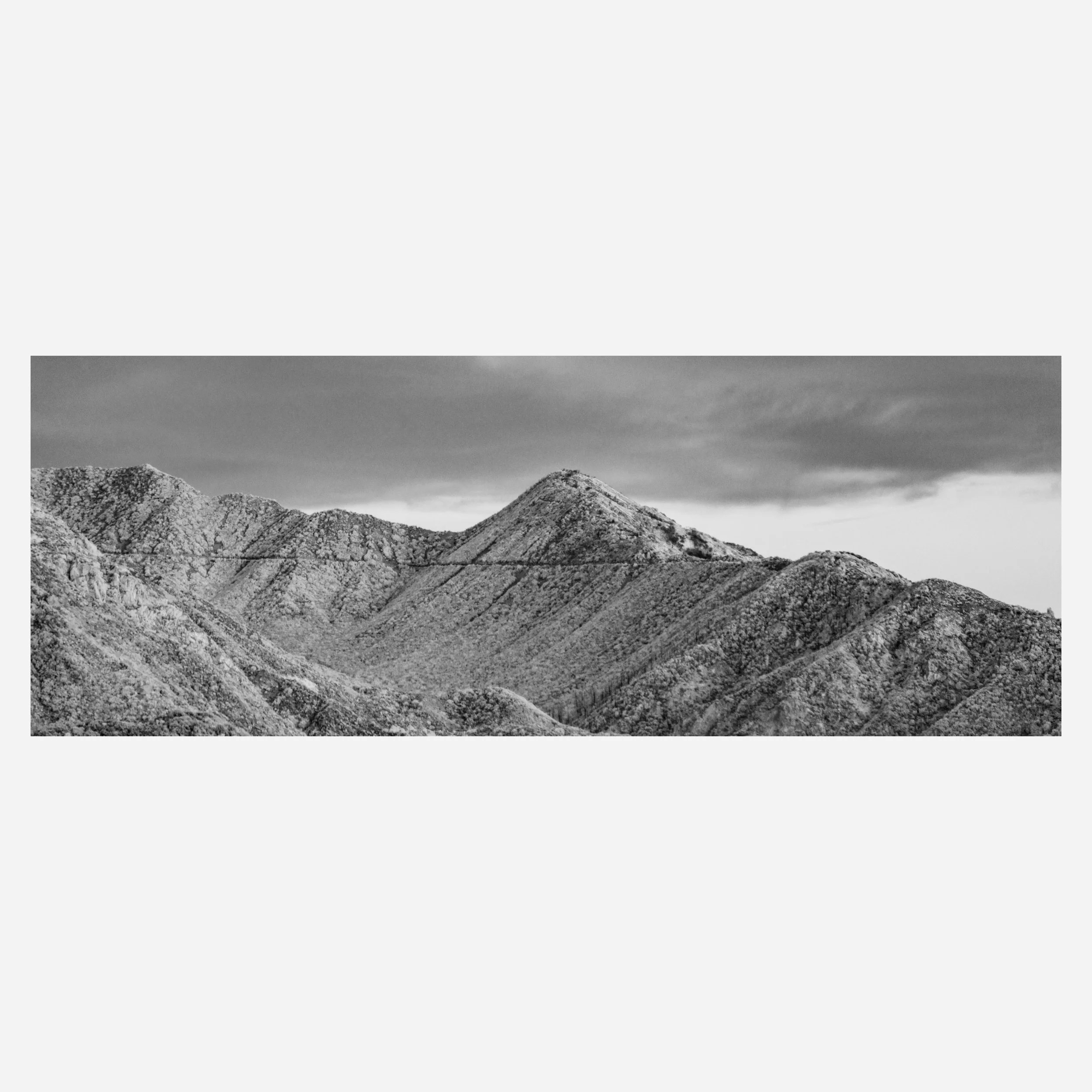 Angeles Crest, 2026