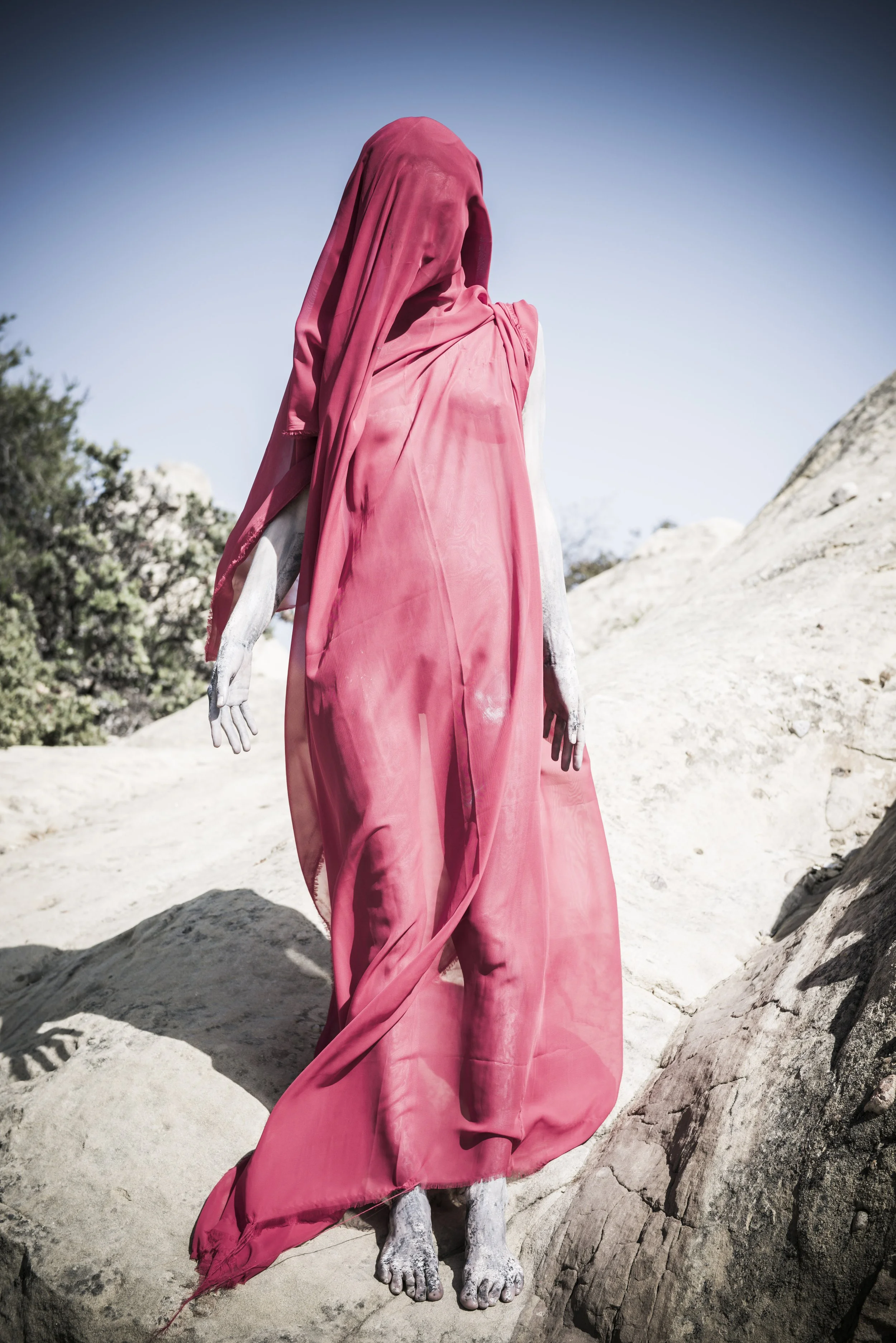 Alex, Shrouded, 2018