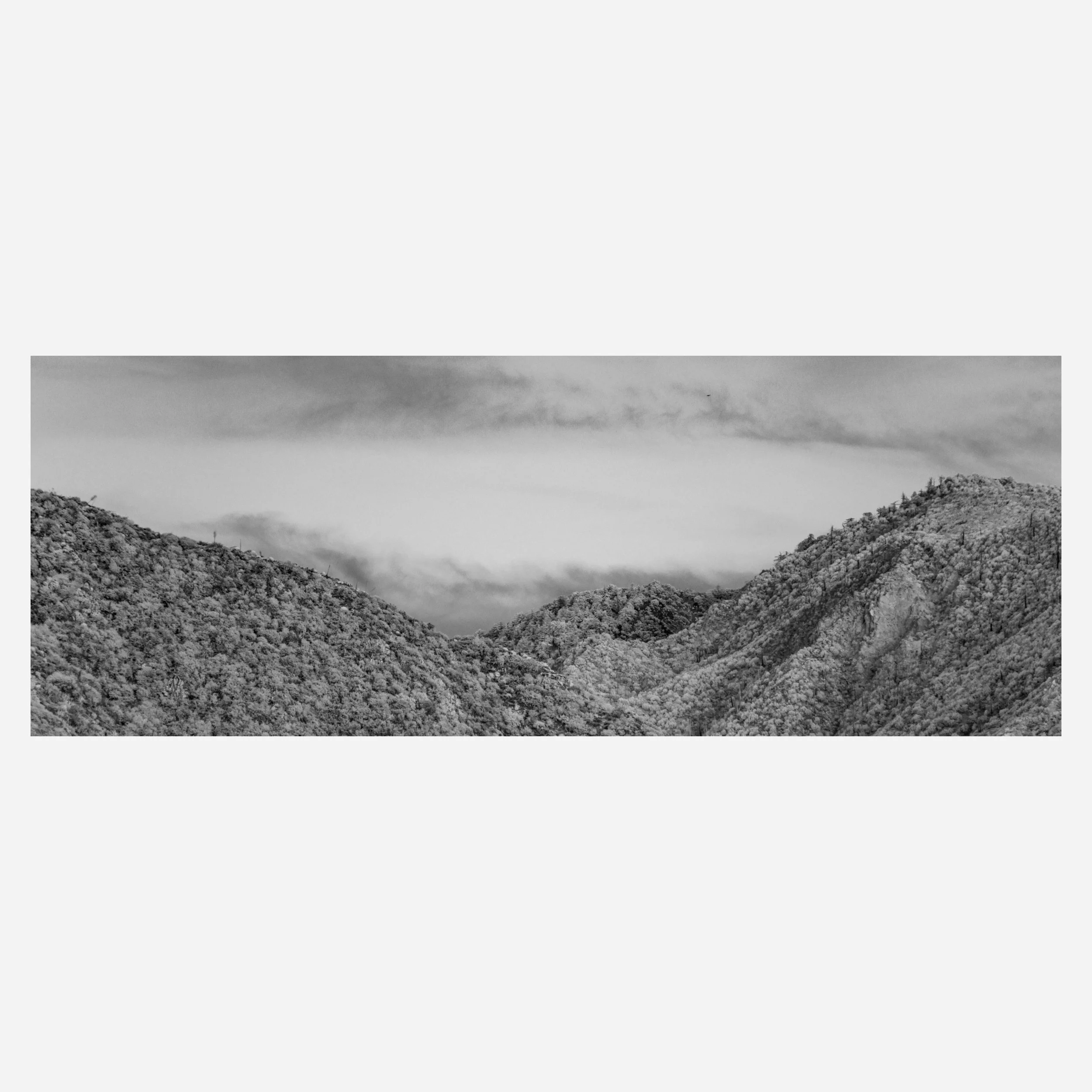 Angeles Crest, 2026