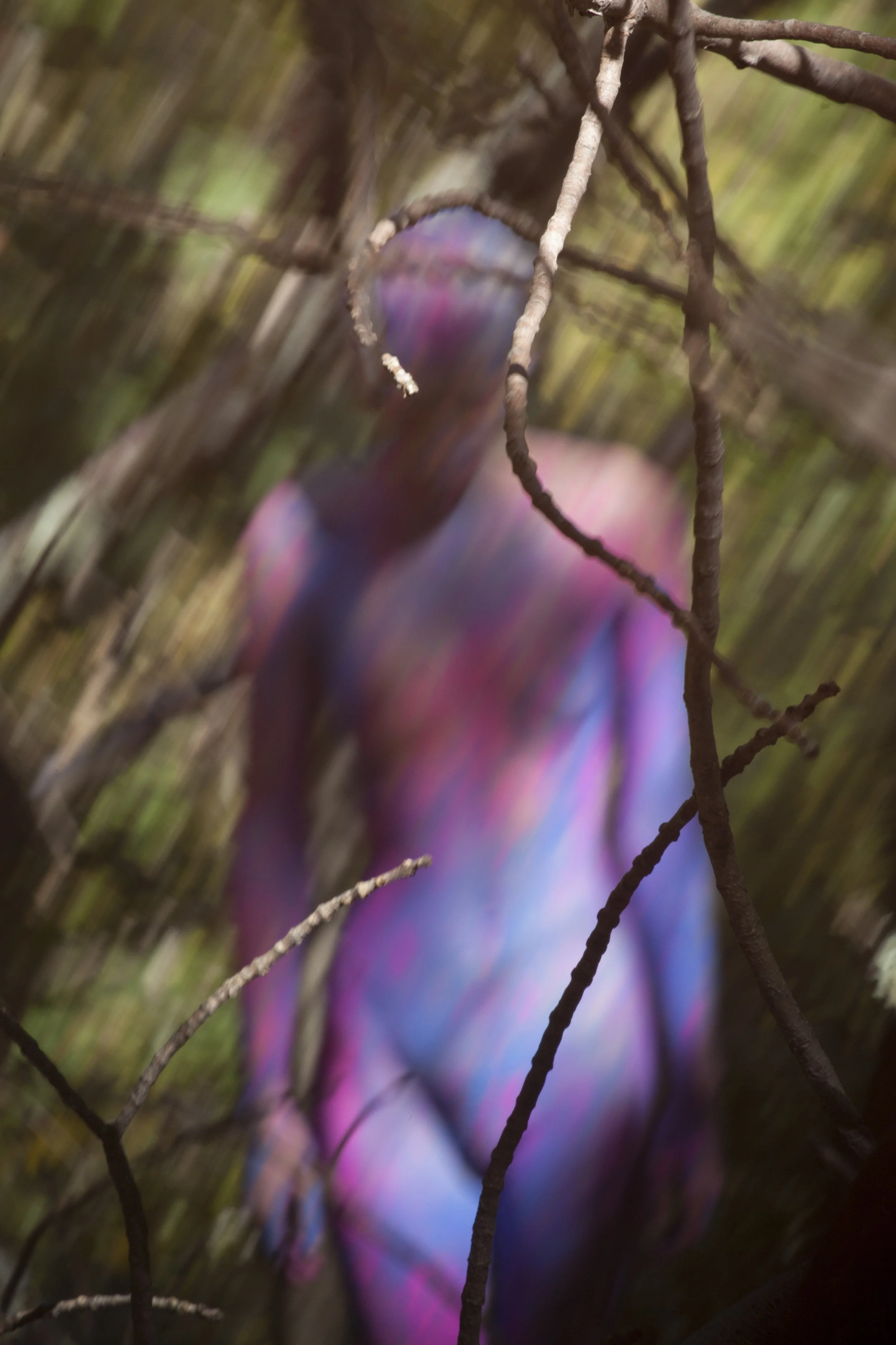 Dorith, Rainbows, 2013 — Open Edition 11 × 14