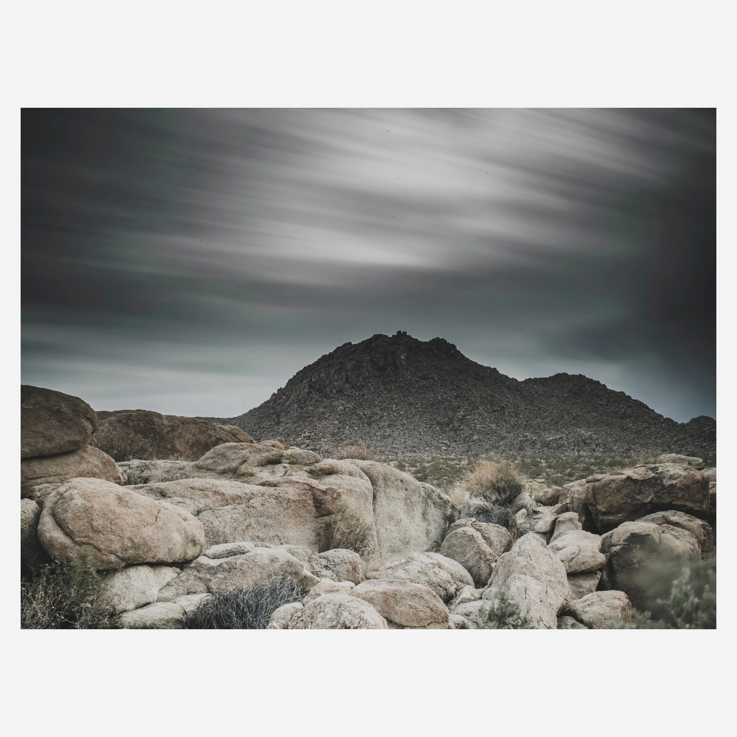 Joshua Tree, 2025