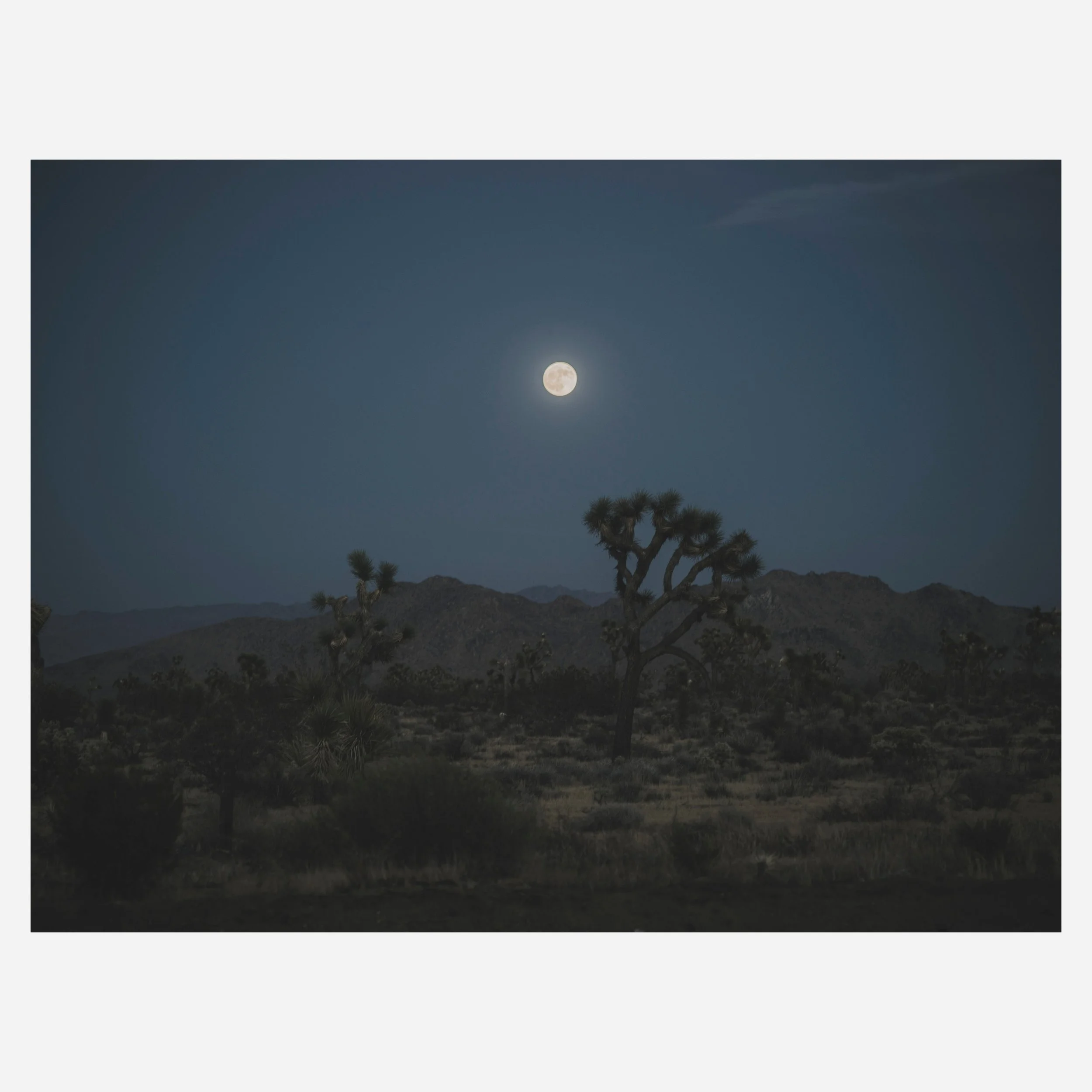 Yucca Mesa, 2026