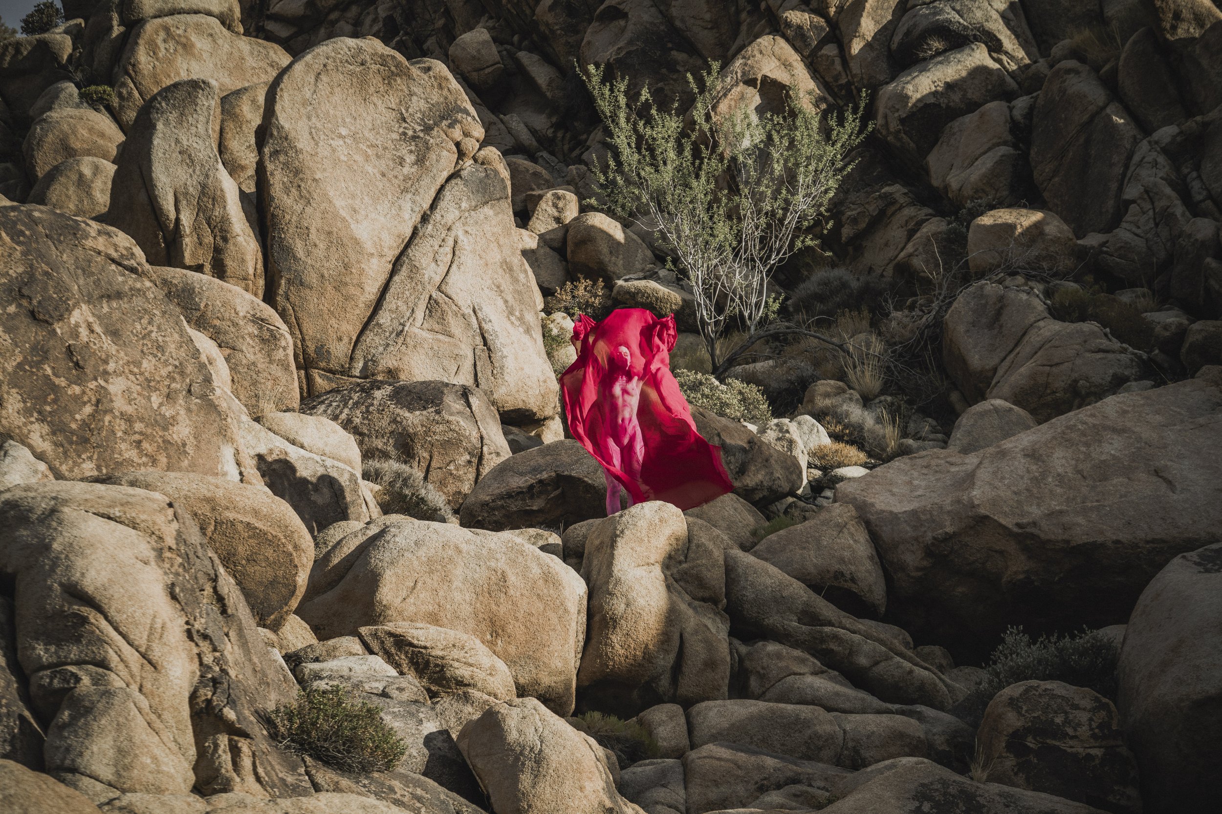 Maria, Shrouded, 2024 — Open Edition 11 × 14