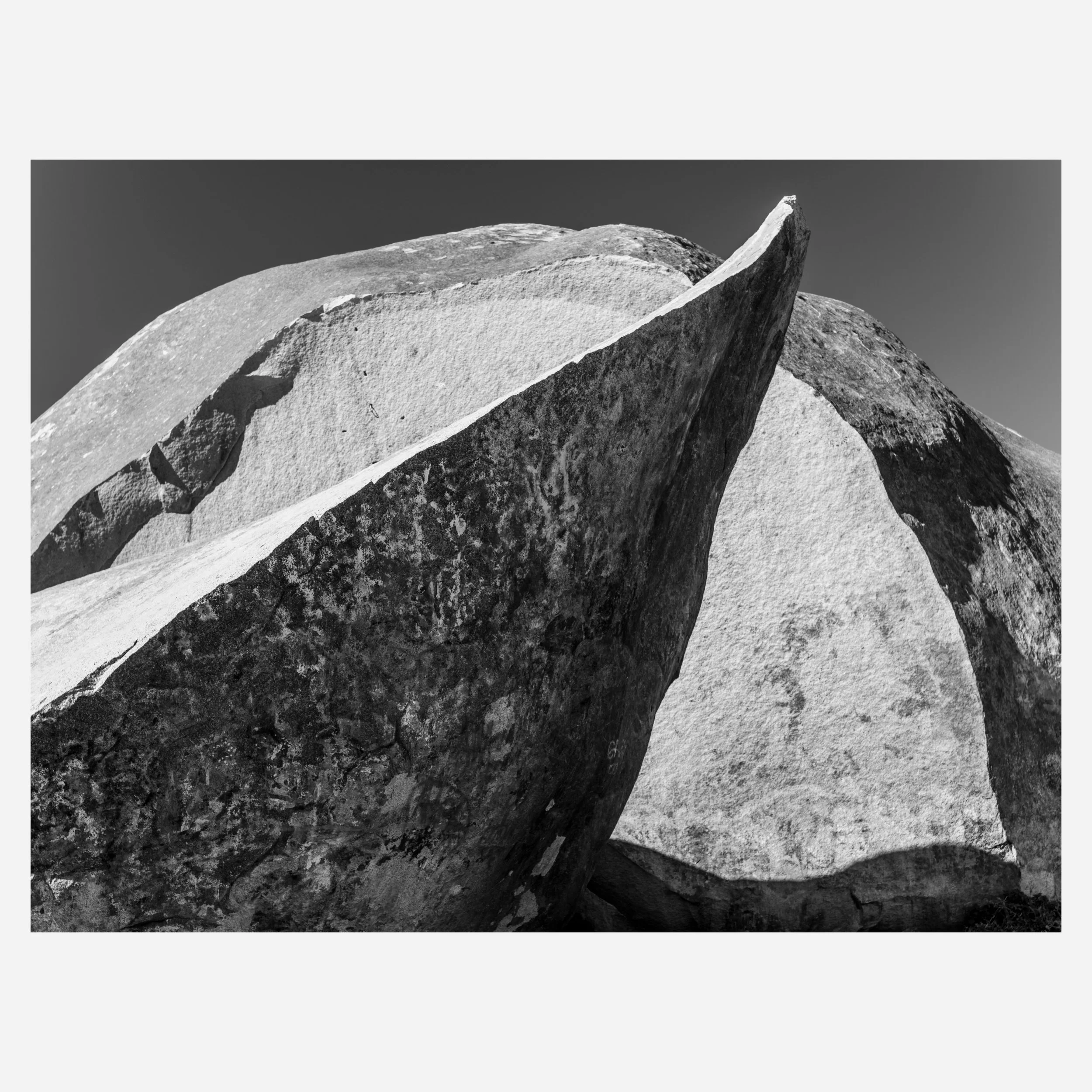 Giant Rock, 2025