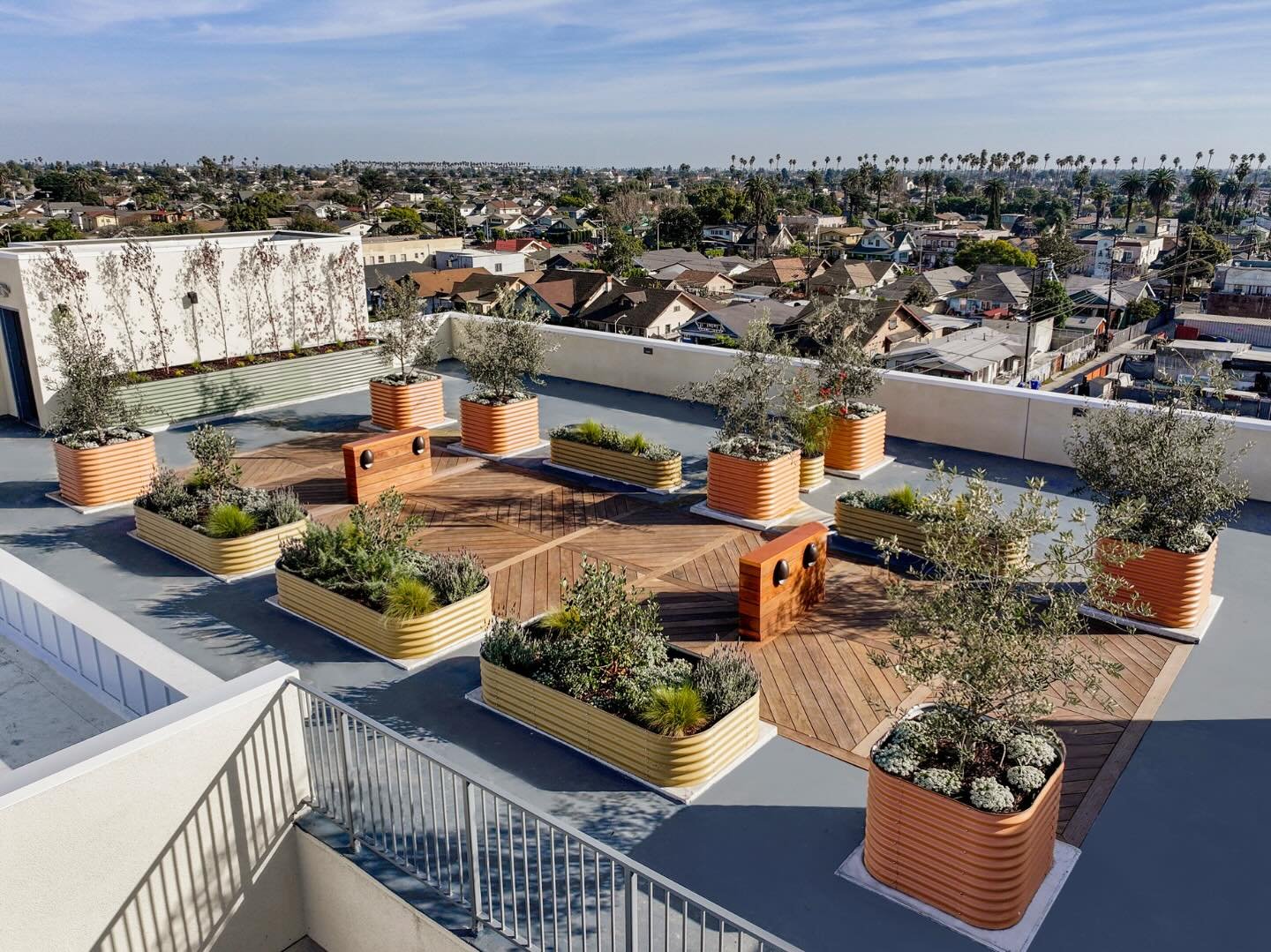 Bringing the buzz to new heights 🐝 this rooftop pollinator garden is blooming with life! 

#landscapedesign #rooftopgarden #pollinatorgarden #containergarden #losangelesgarden #sustainabledesign
