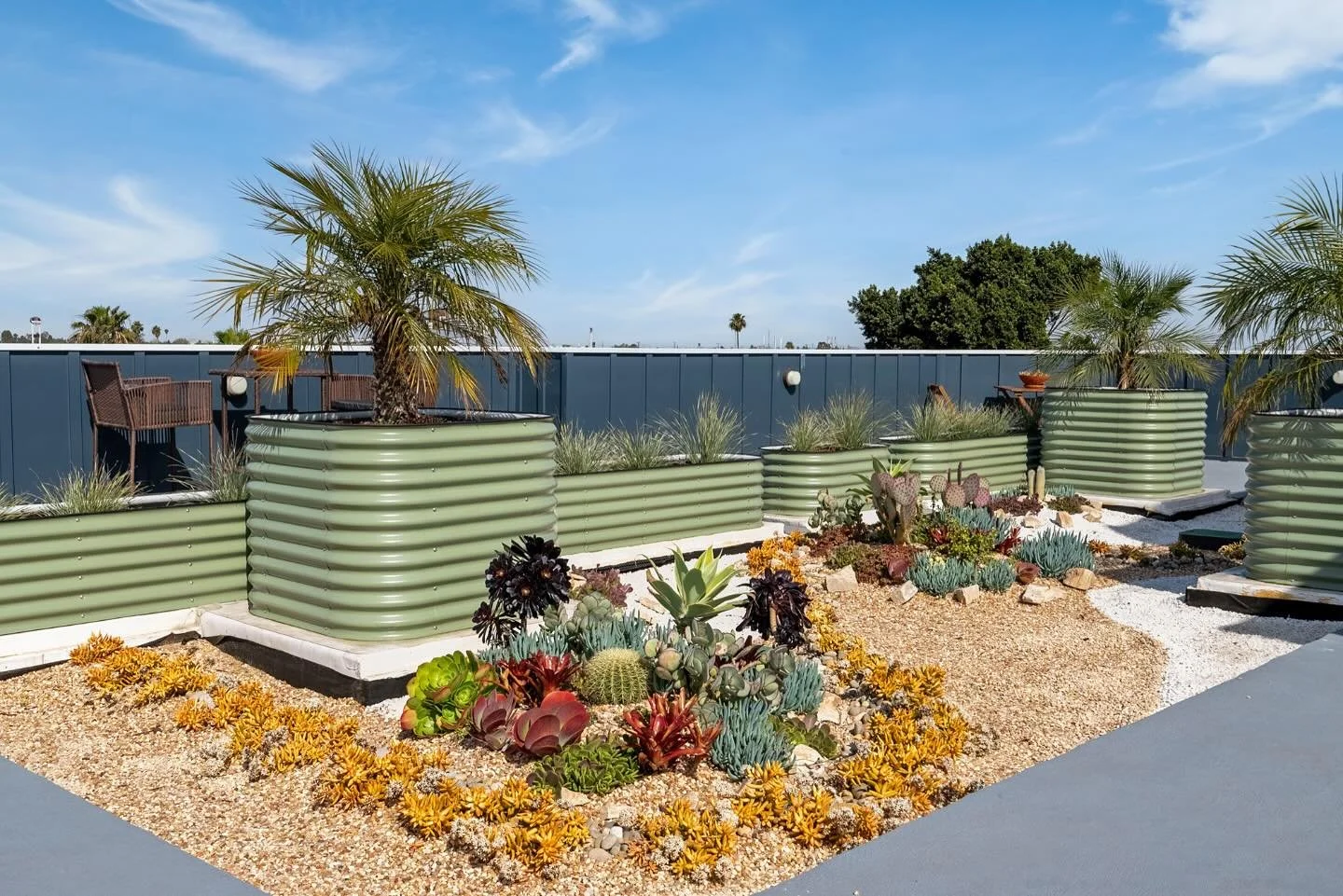 A coral reef&hellip; but make it on a rooftop with little water 🪄 under the sea: desert edition 🧜&zwj;♀️ #landscapedesign #waterwise #sustainabledesign #succulentdesign #droughttolerantlandscape