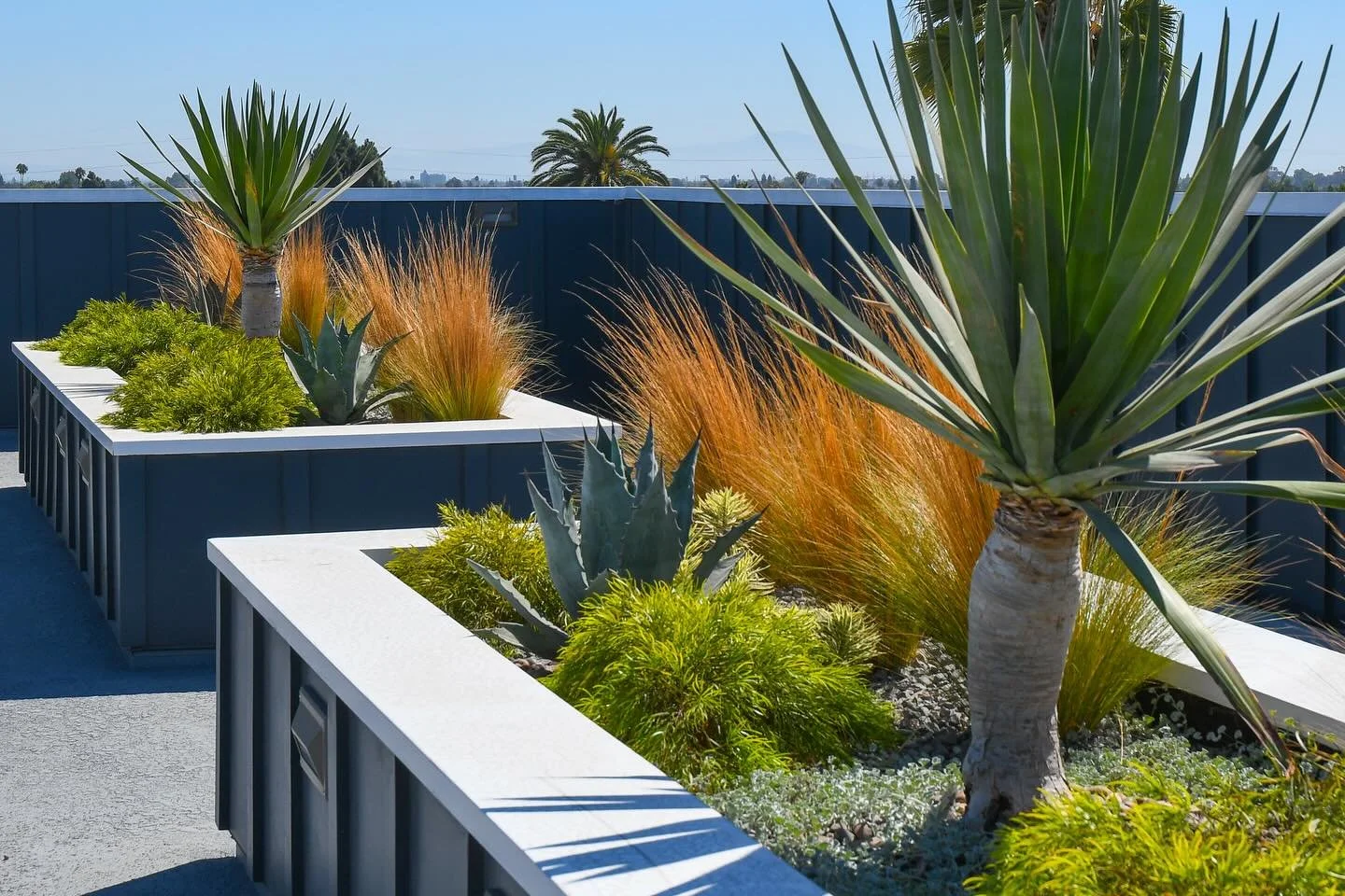 Drought-tolerant doesn&rsquo;t have to look so &ldquo;dry&rdquo;, you can make it lush and rich with color and texture 🌱✨