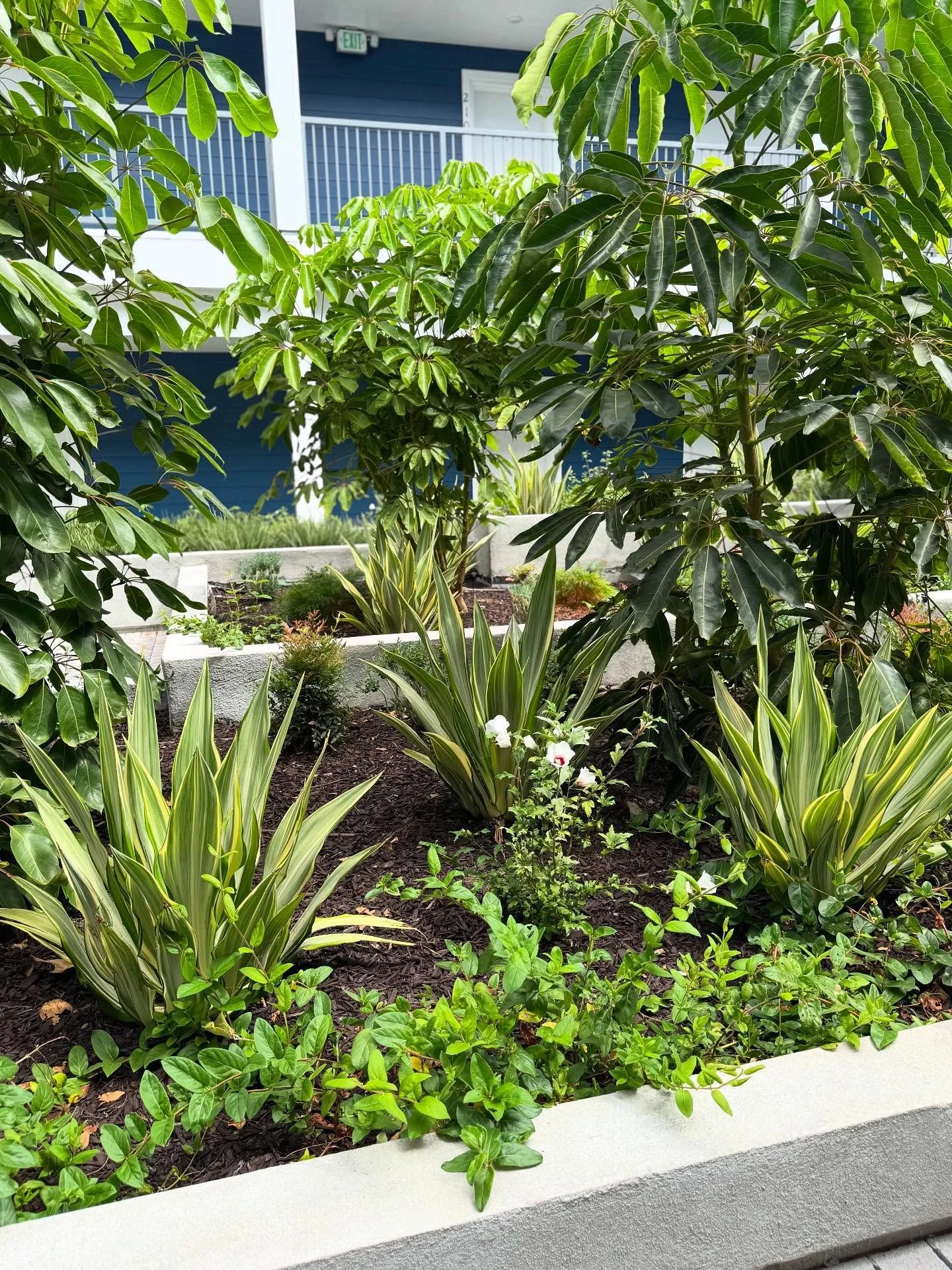 Welcome to the jungle 🌿