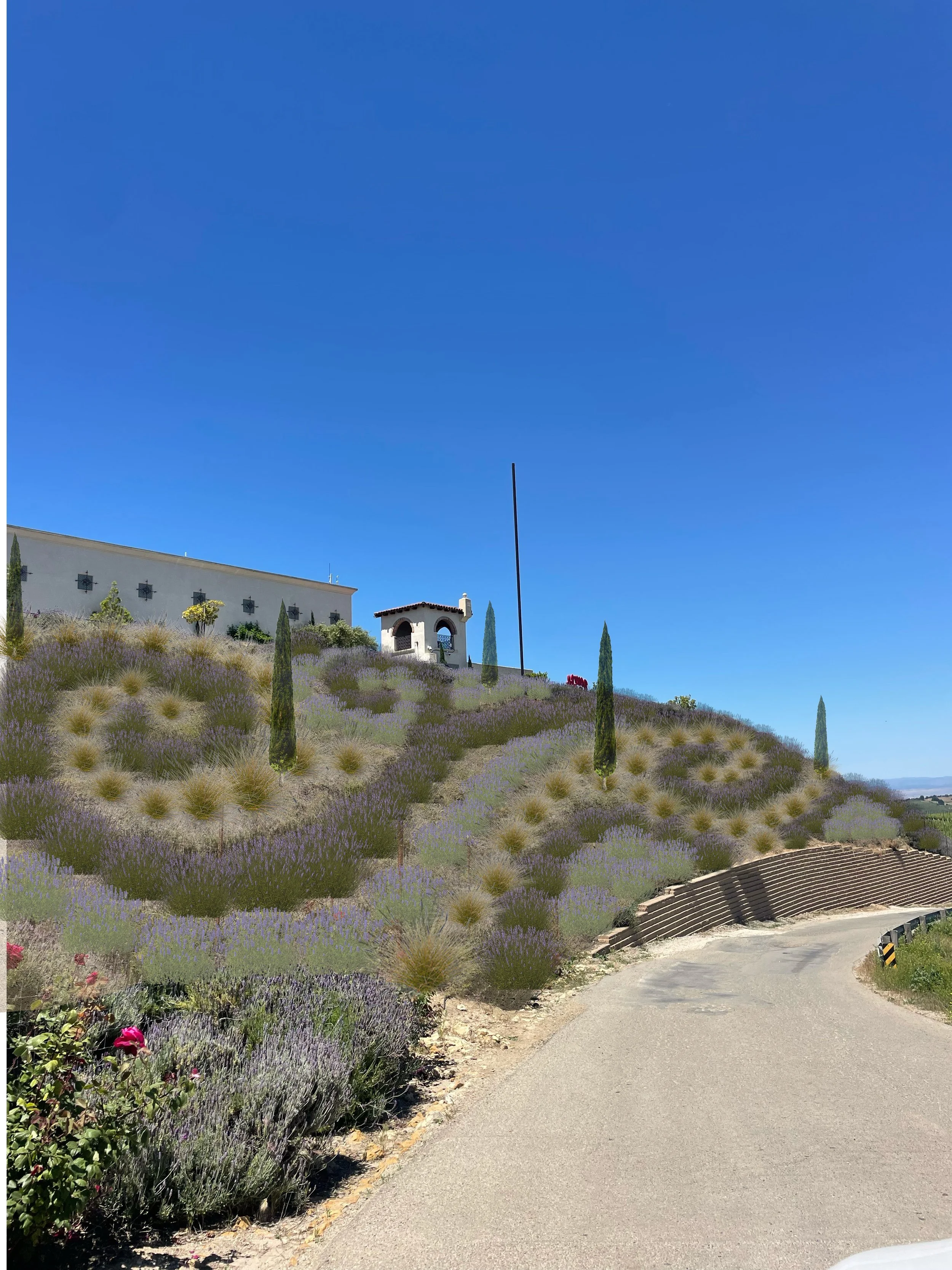 rendering7 with cypress.jpg