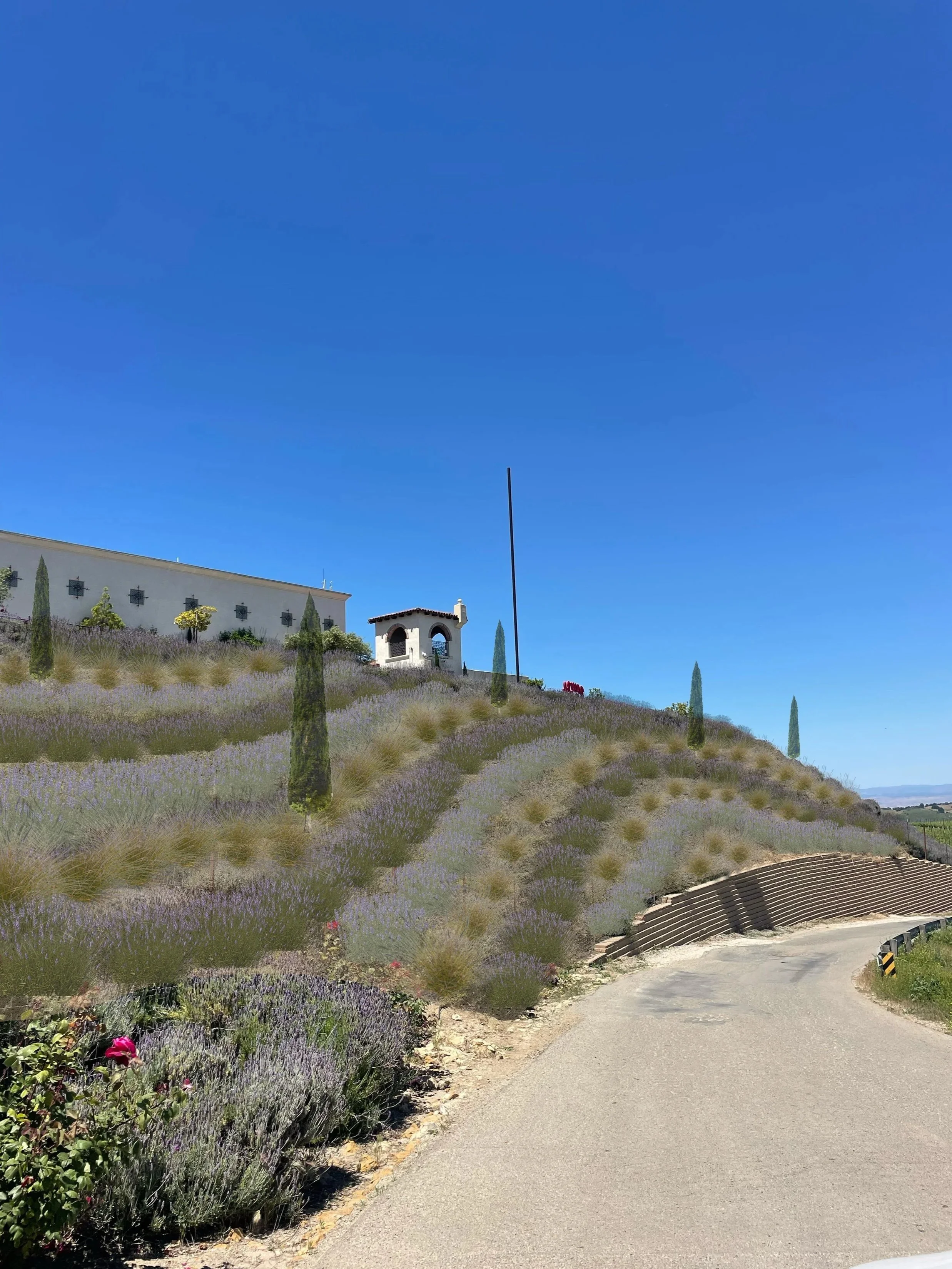 rendering5 with cypress.jpg