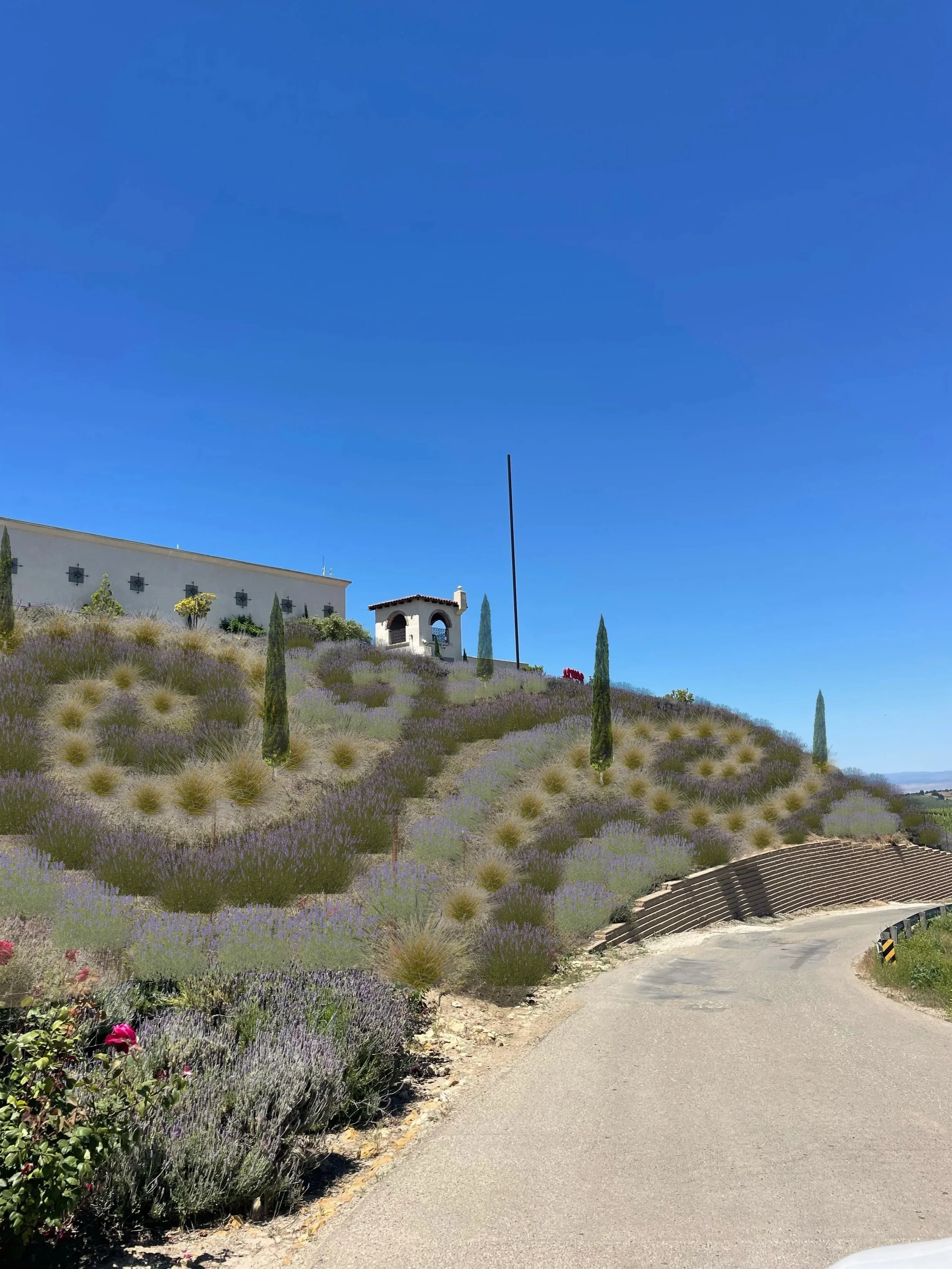 rendering7 with cypress.jpg