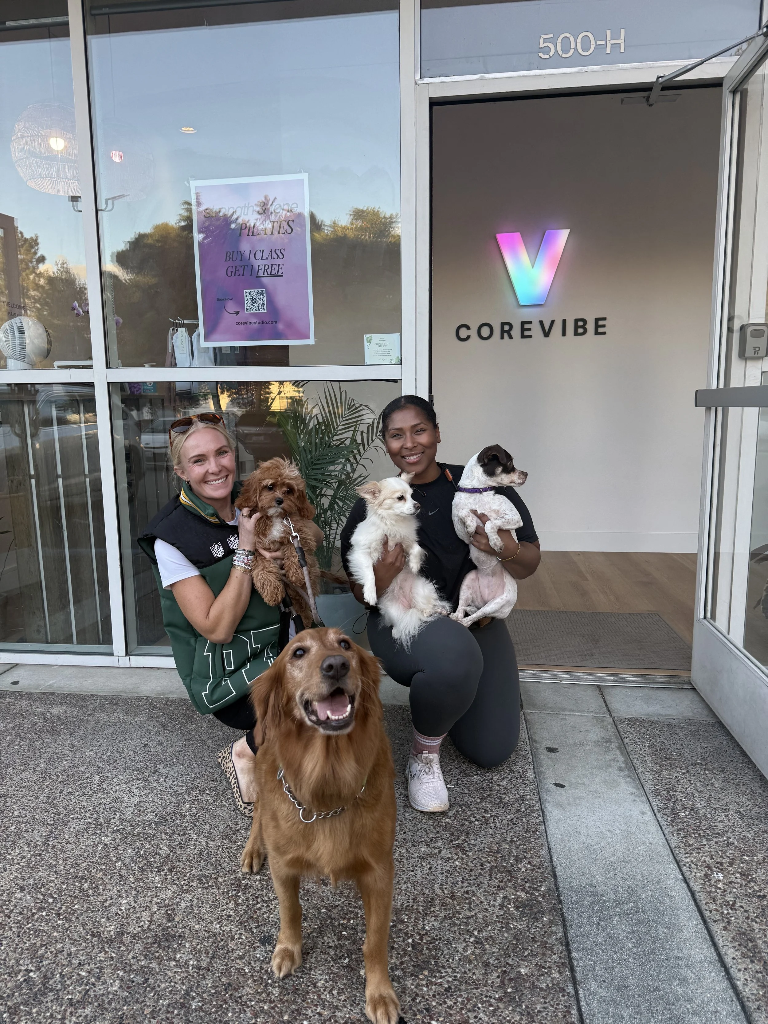  More dogs the better 