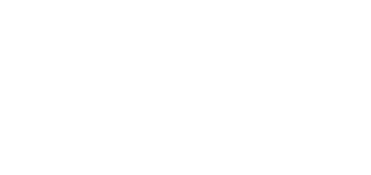 The Connecting Agency