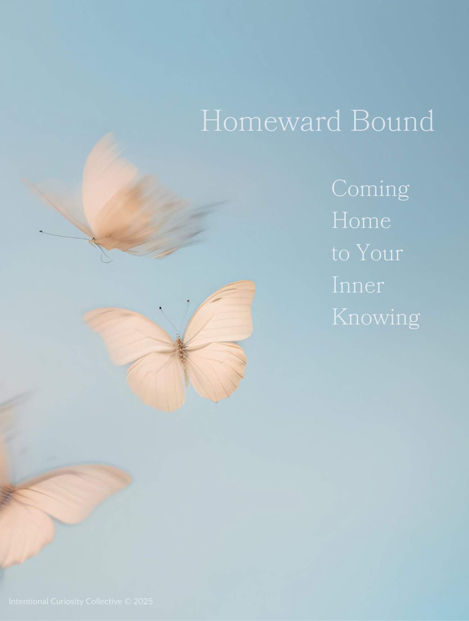 Homeward Bound: Coming Home to Your Inner Knowing
