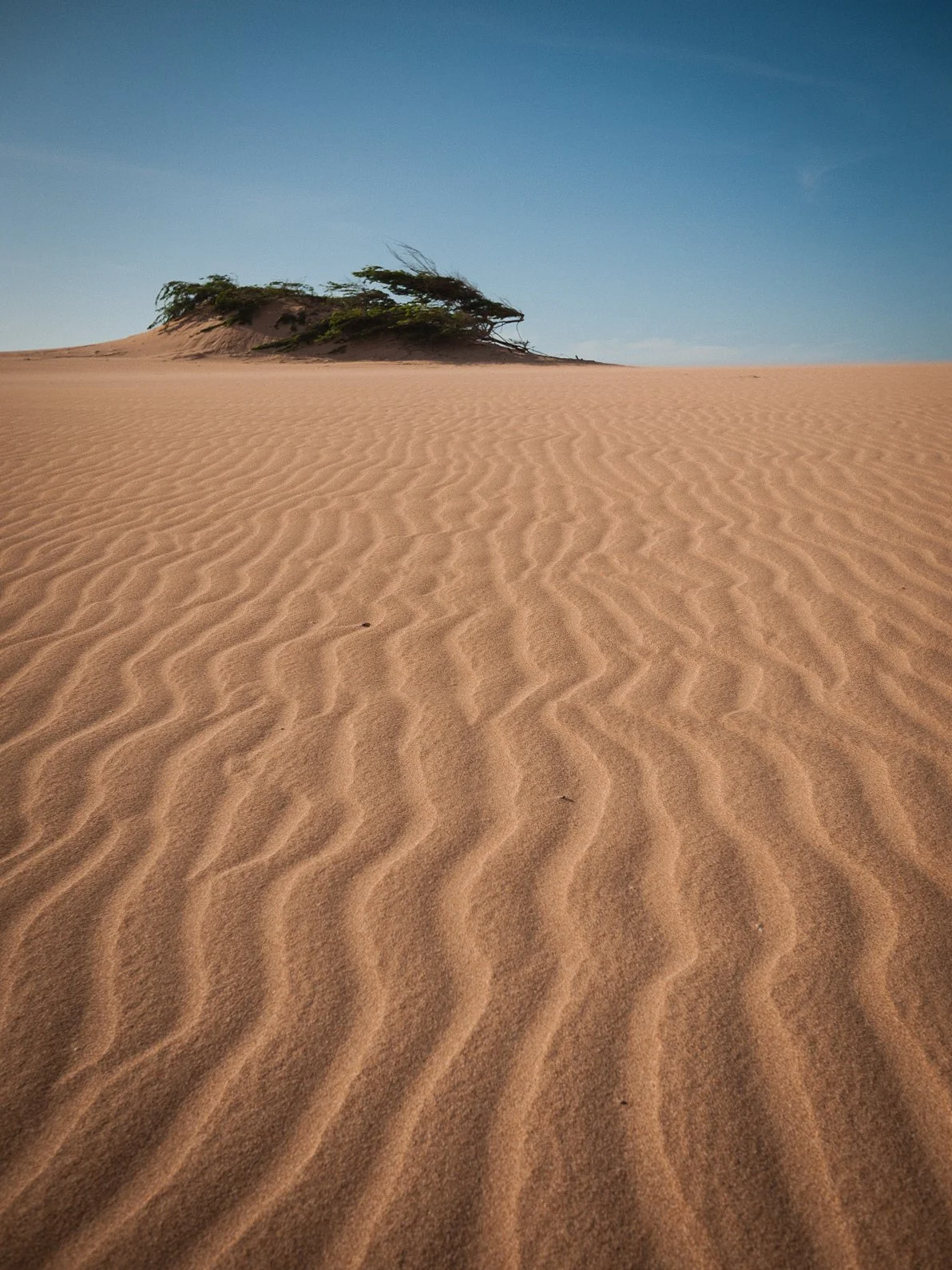 punta gallina, colombia