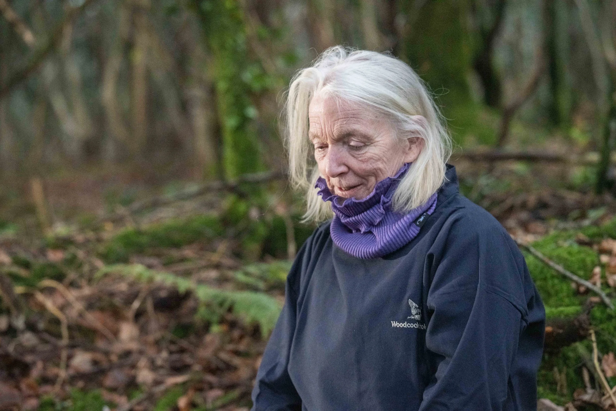 SallyBarnes_Merchandise_Woods_013.jpg
