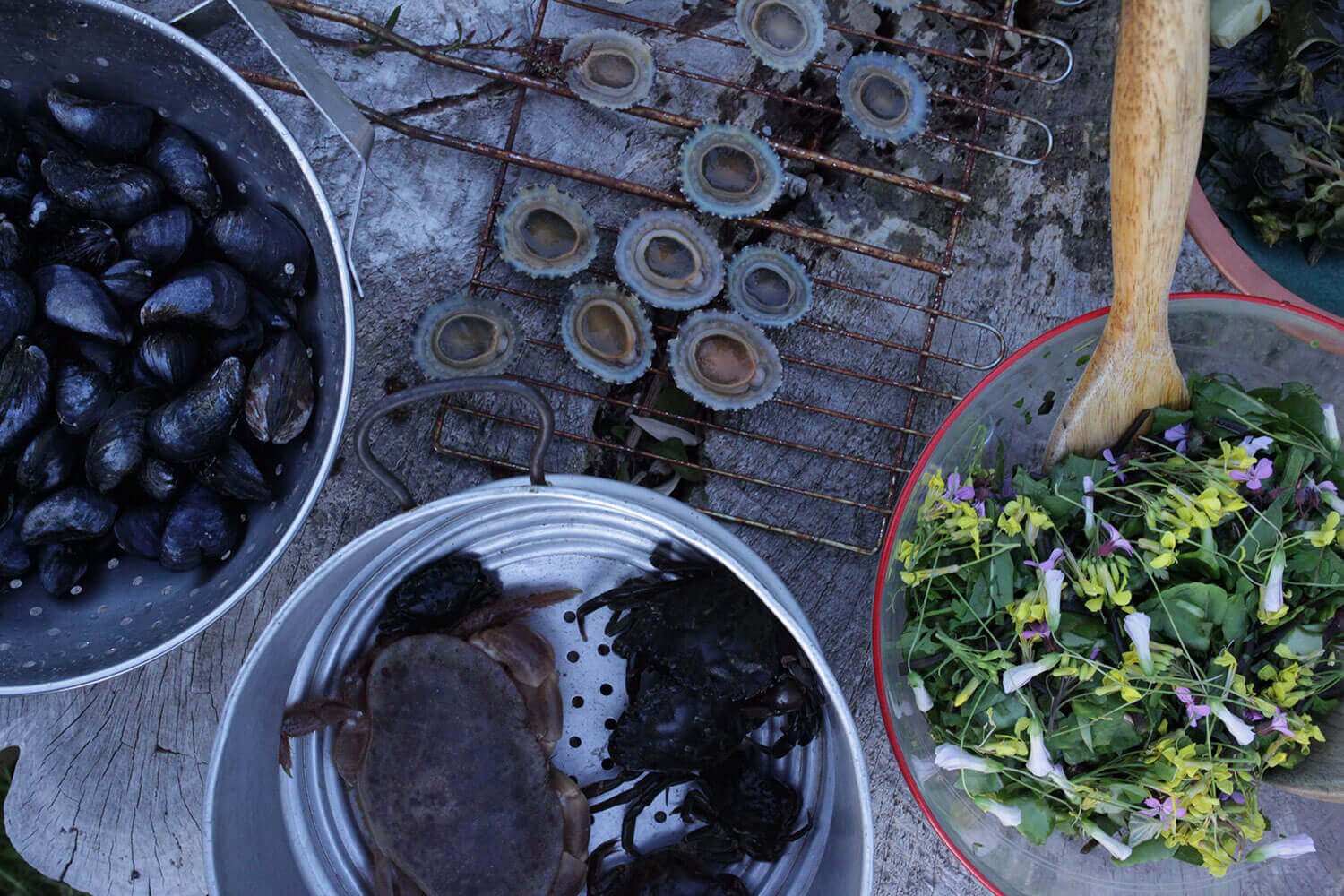 sally-barnes-foraging-workshop-west-cork-1.jpg