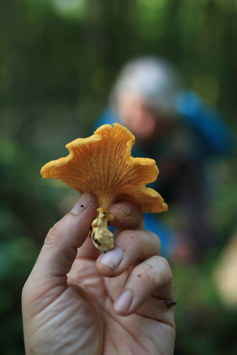 sally-barnes-foraging-workshop-west-cork-3.jpg