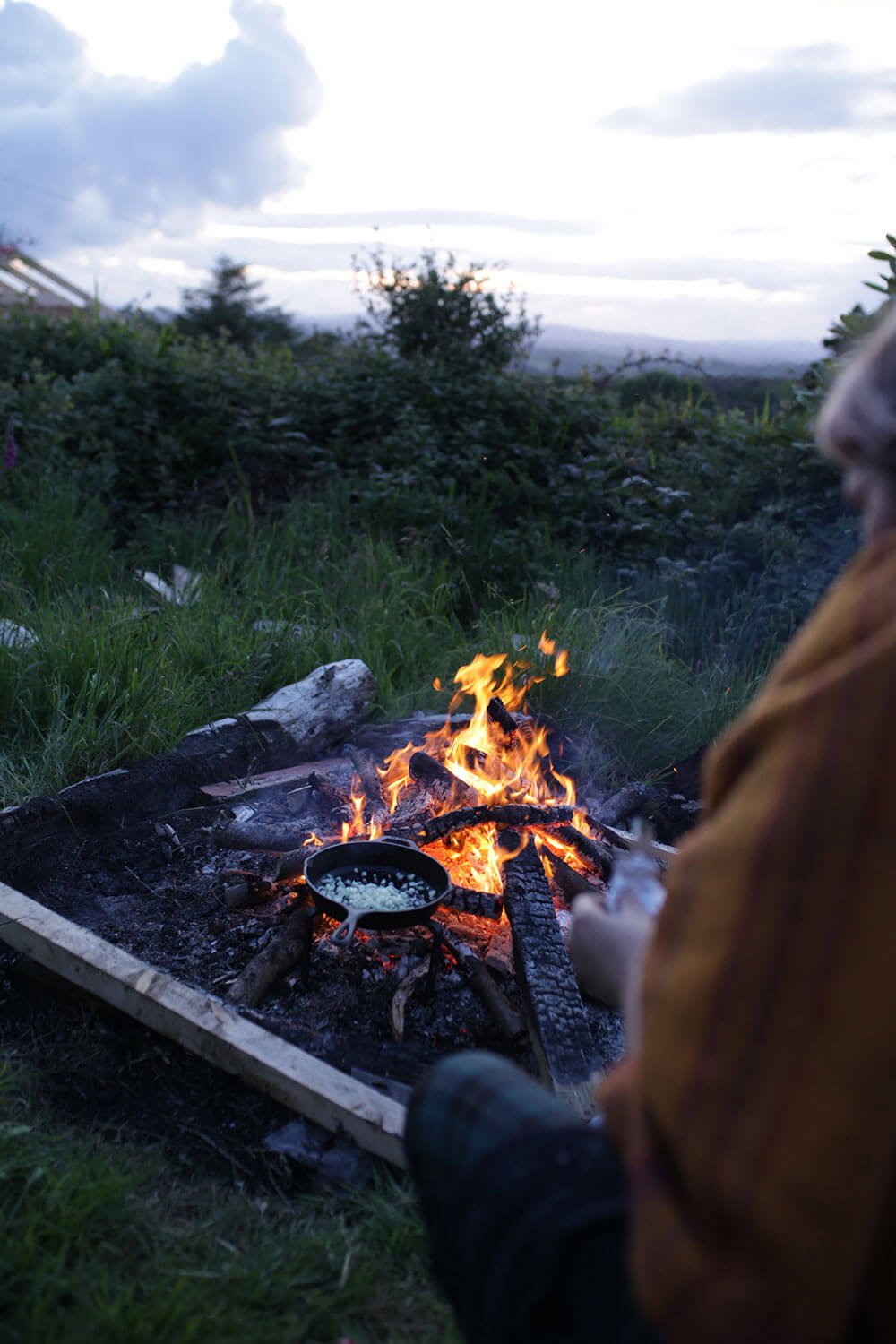 sally-barnes-foraging-workshop-west-cork-5.jpg