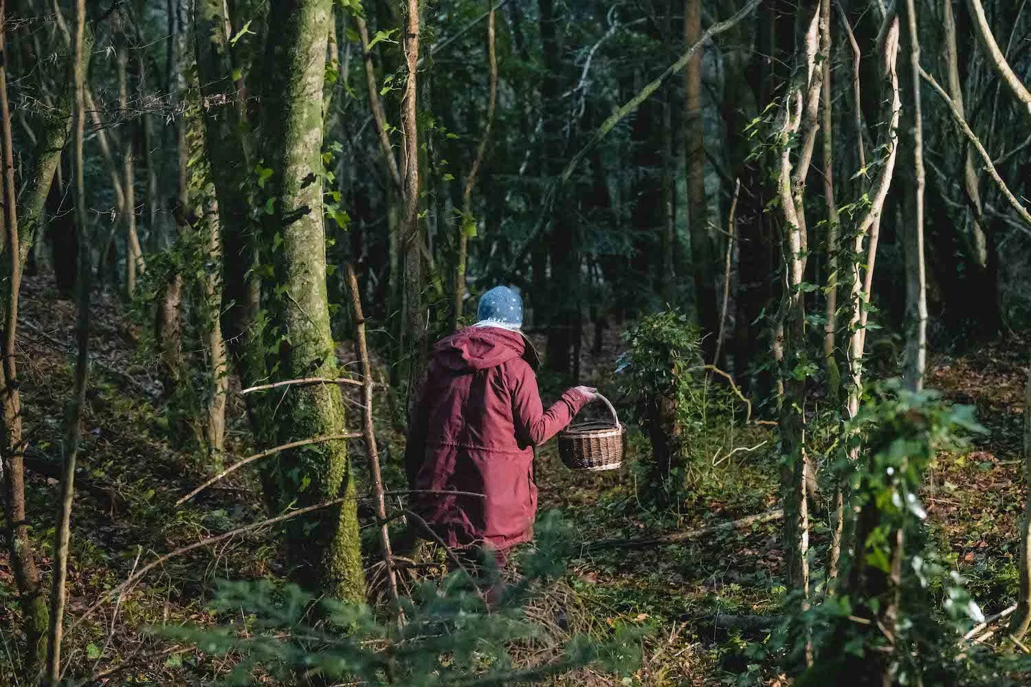 WoodcockSmokery-SallyBarnes-WoodlandForaging .jpg