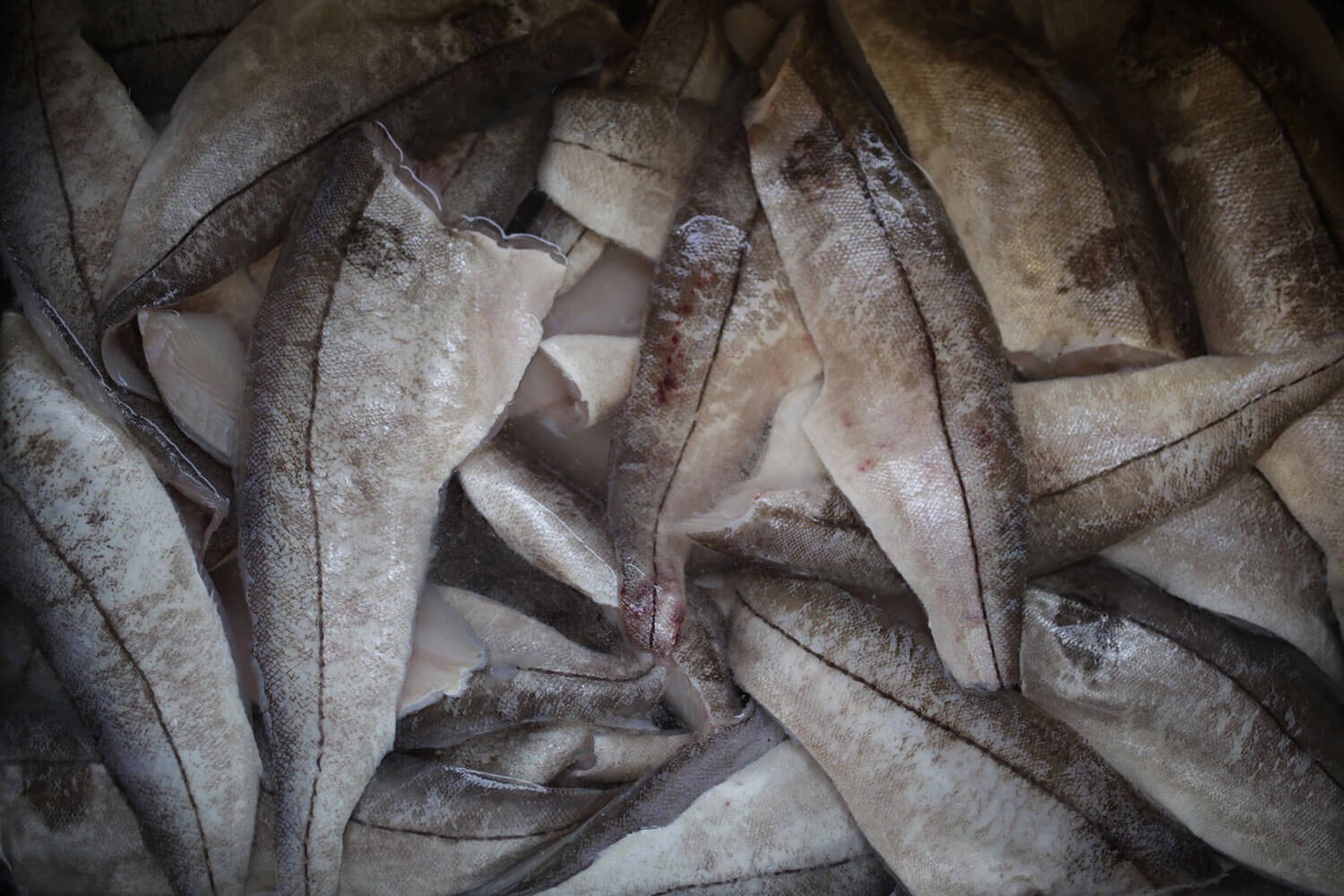 wild-smoked-fish-haddock-6.jpg