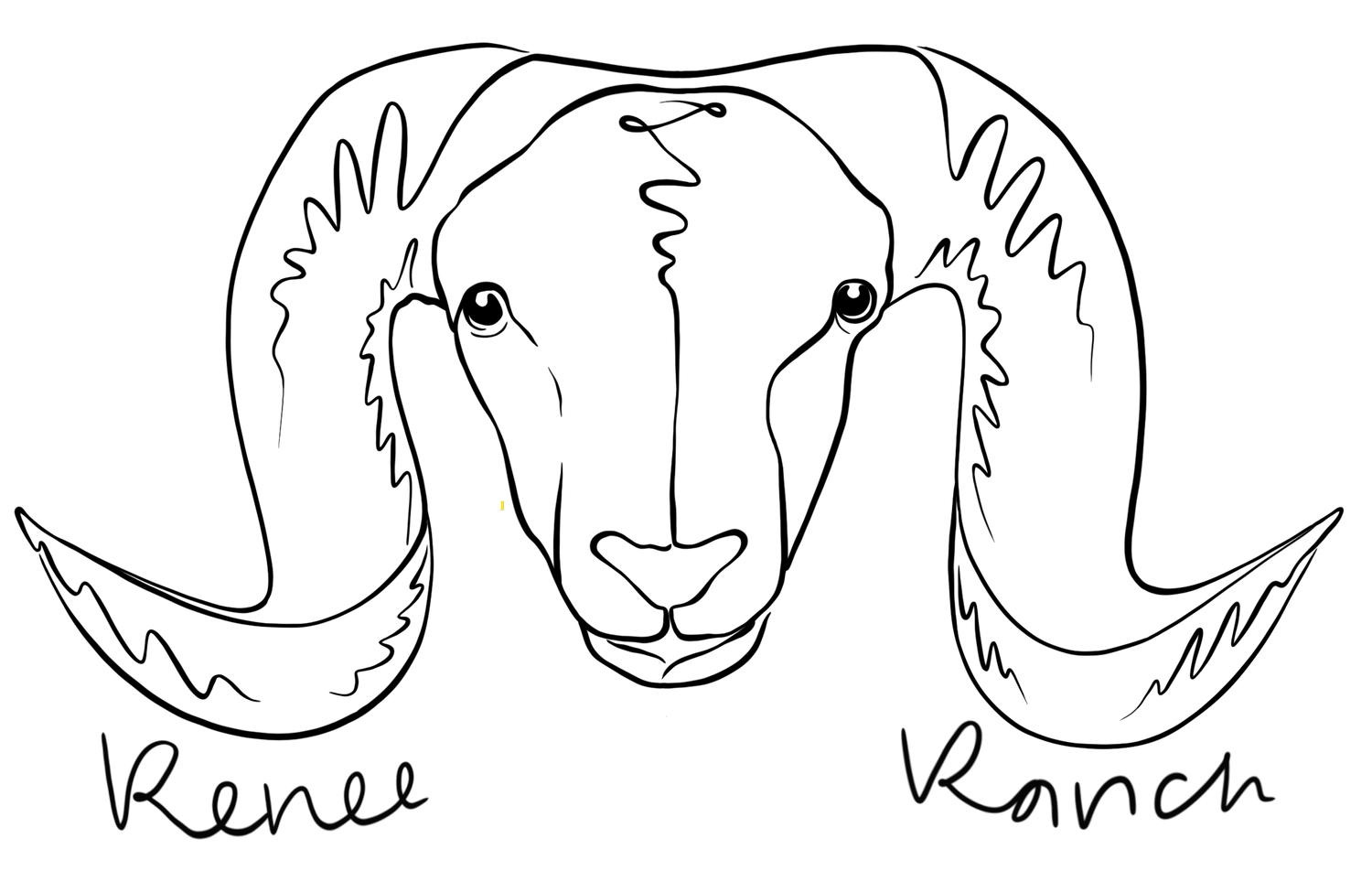 Renee Ranch 