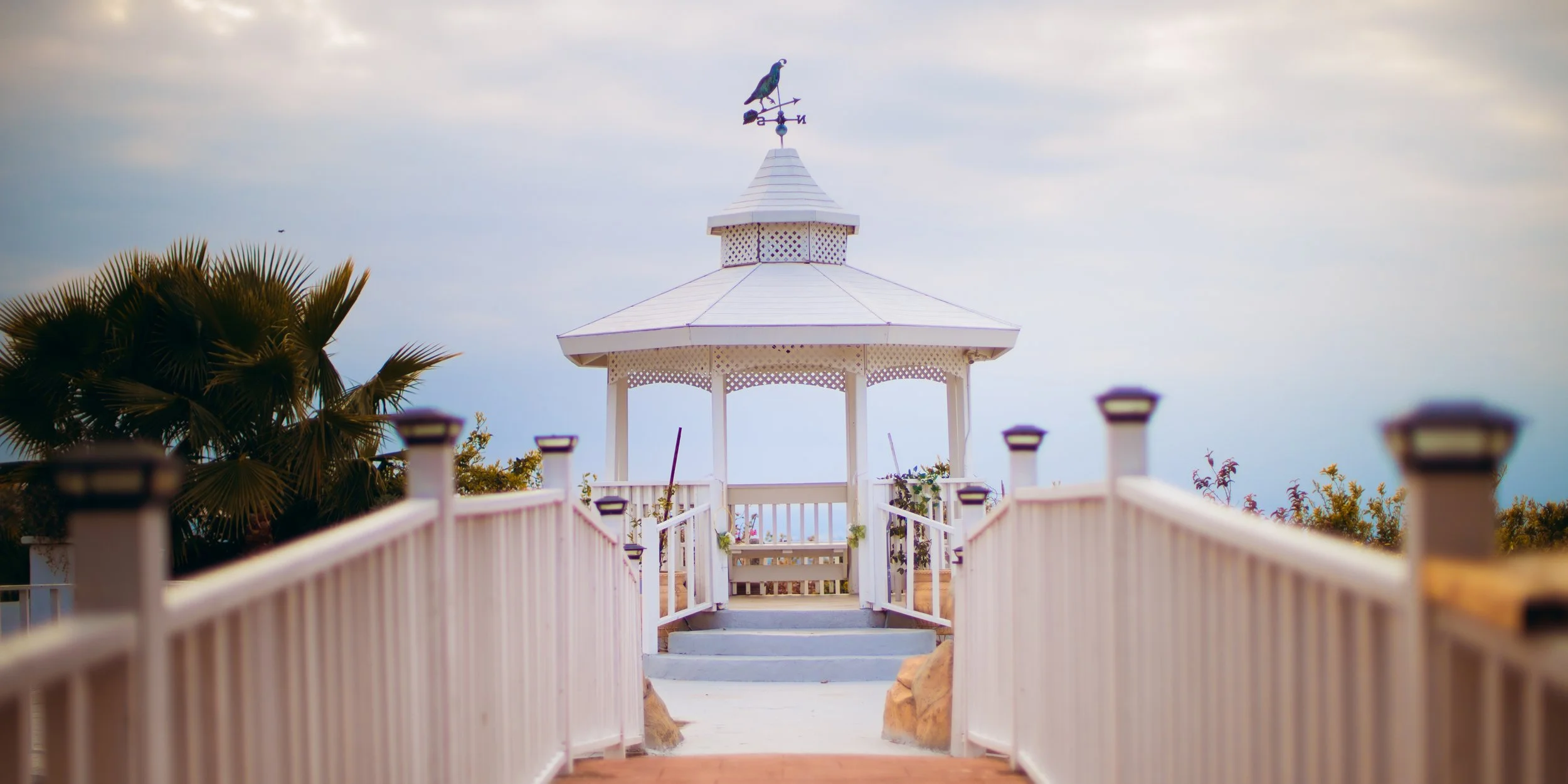 Te Vi_Music Video-57.jpg