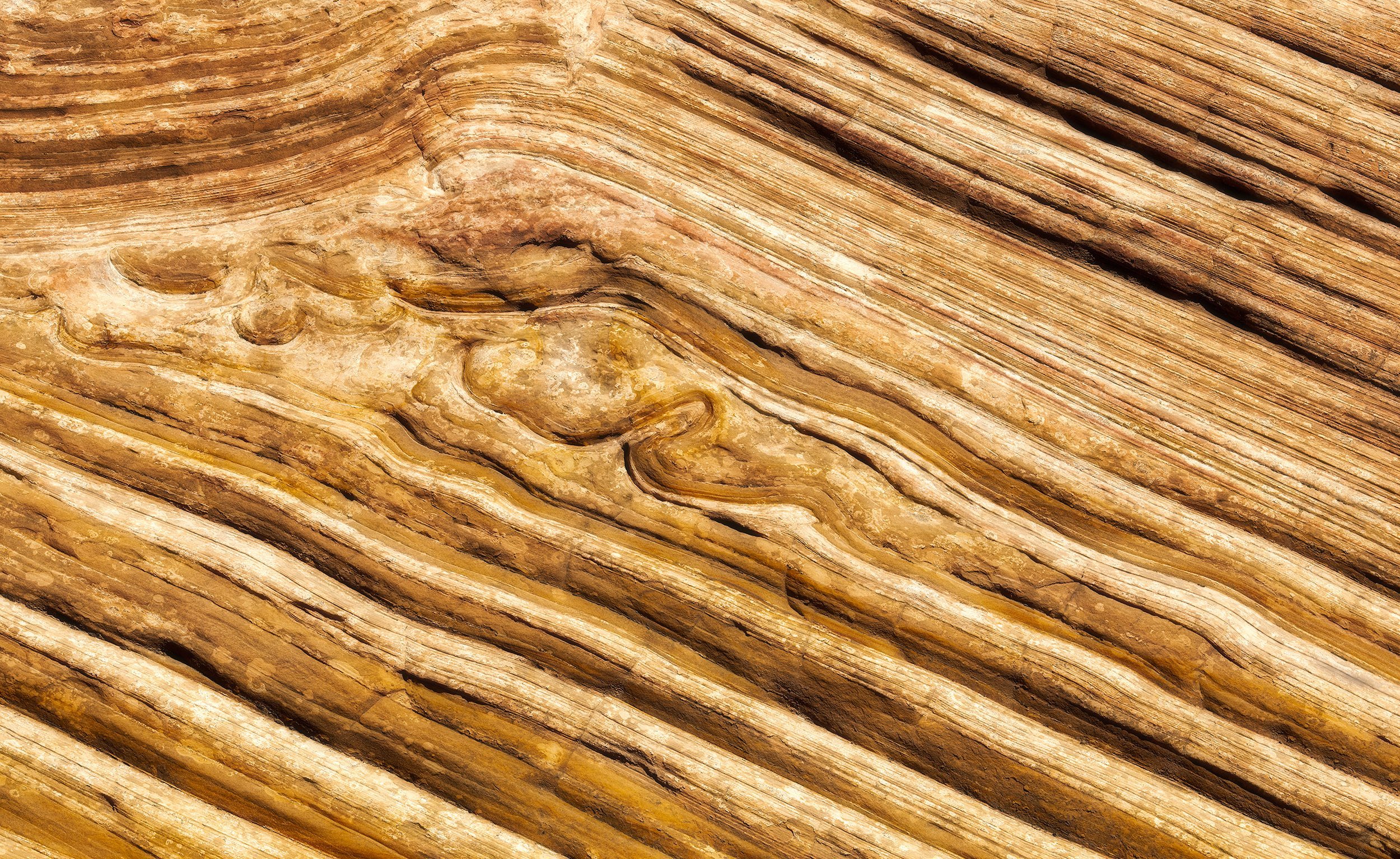 Folds in the sediment set millennia ago, now exposed in the barren landscape of Grand Staircase-Escalante National Monument, Utah.