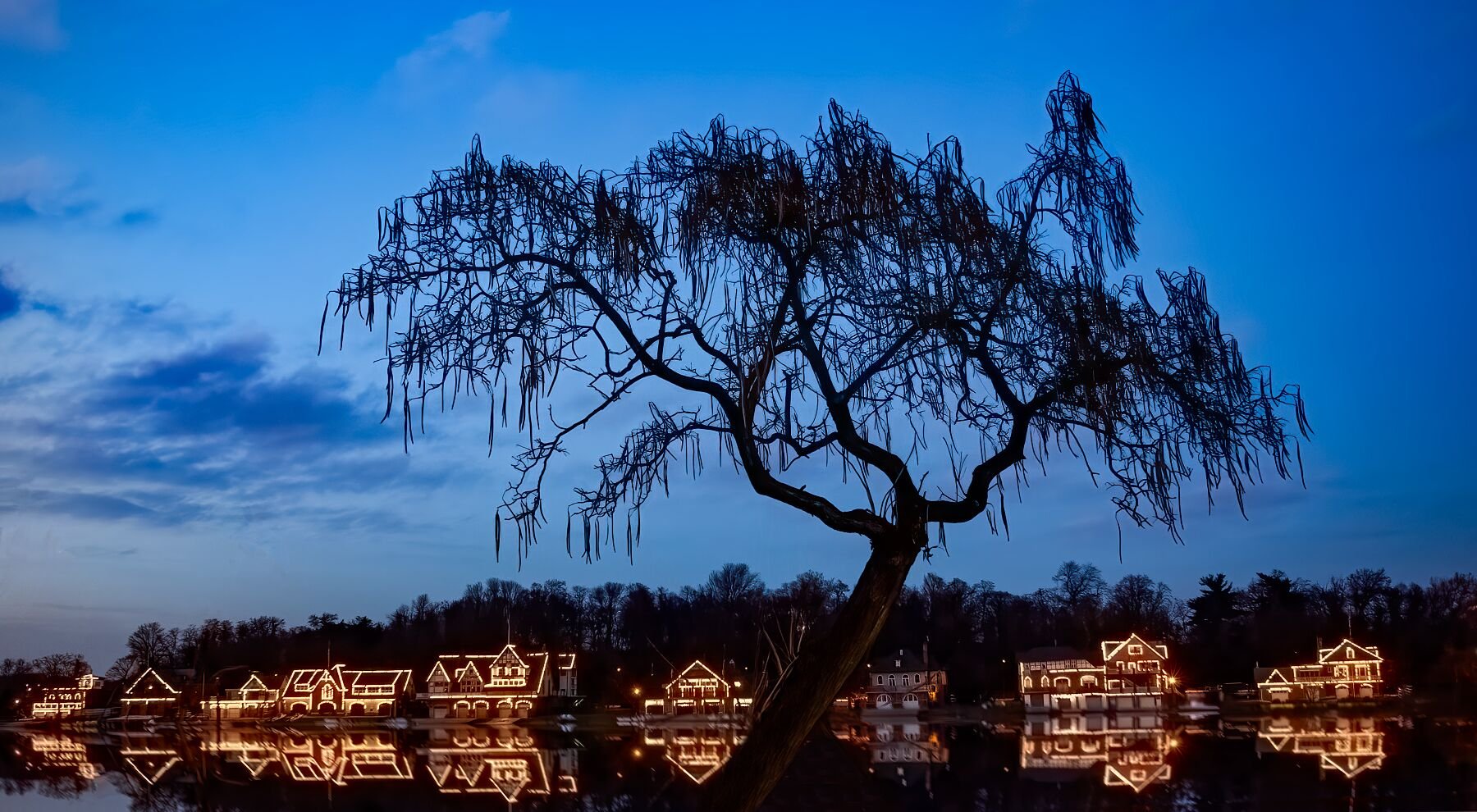 The lights of Philadelphia's famous Boathouse Row reflected in the waters of the Schuylkill River, framed by a leafless Locust tree.