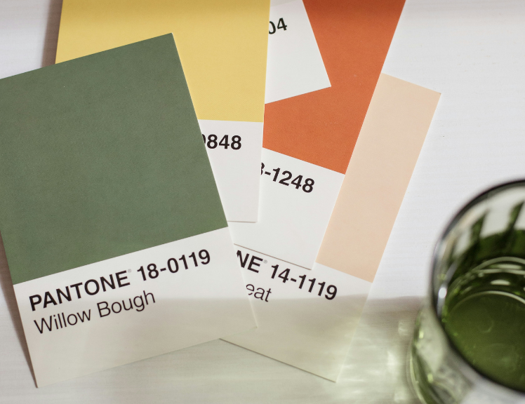 How much does Branding cost in 2026 (and what is included)?