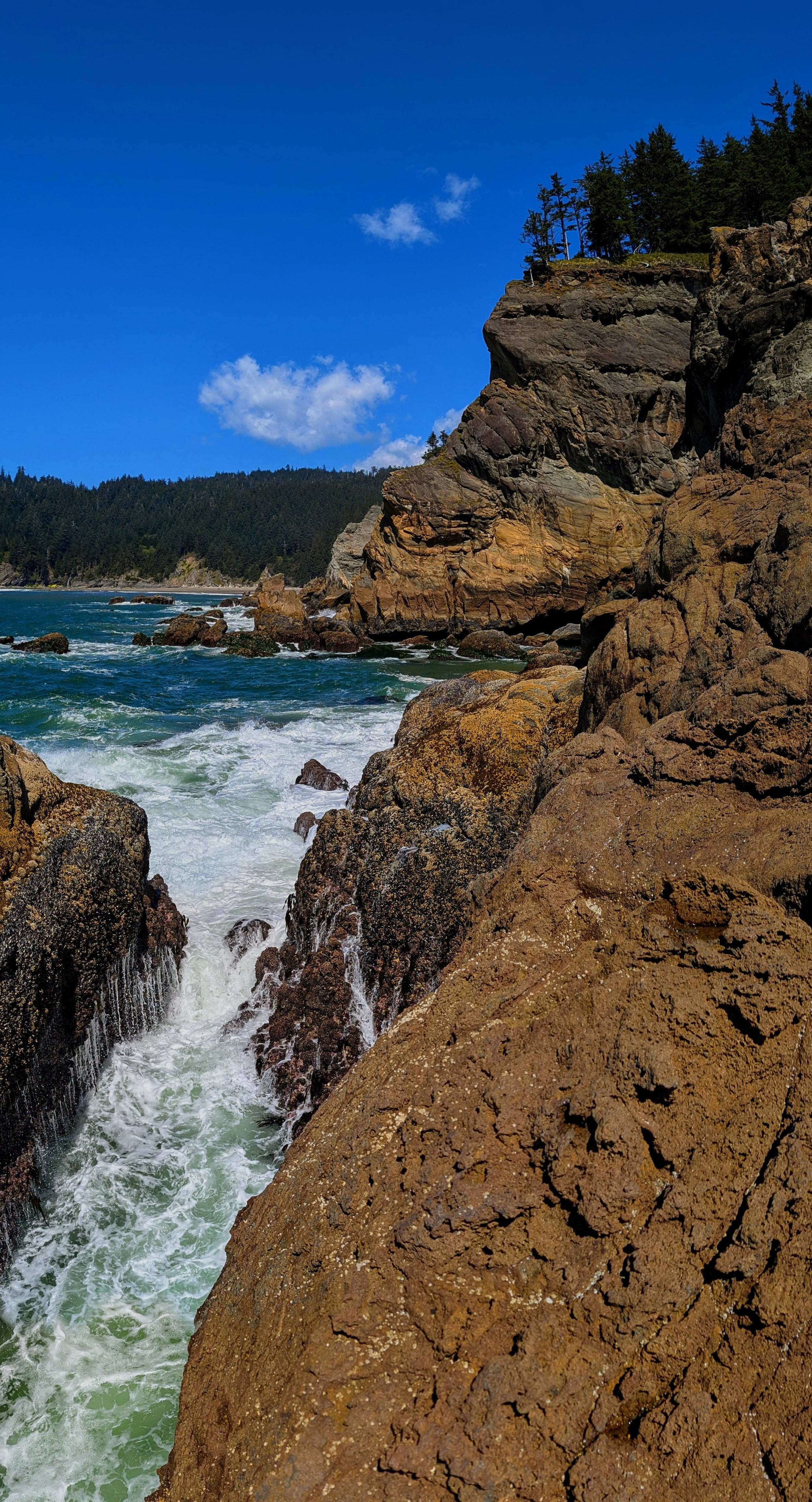 PXL_20260424_201830204.PANO~2.jpg