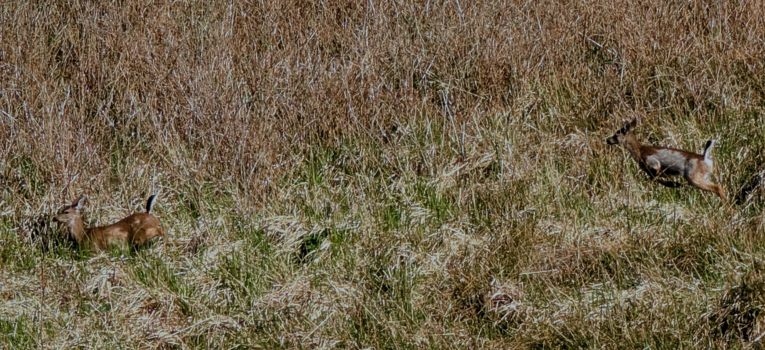 PXL_20260424_233329938~2.jpg