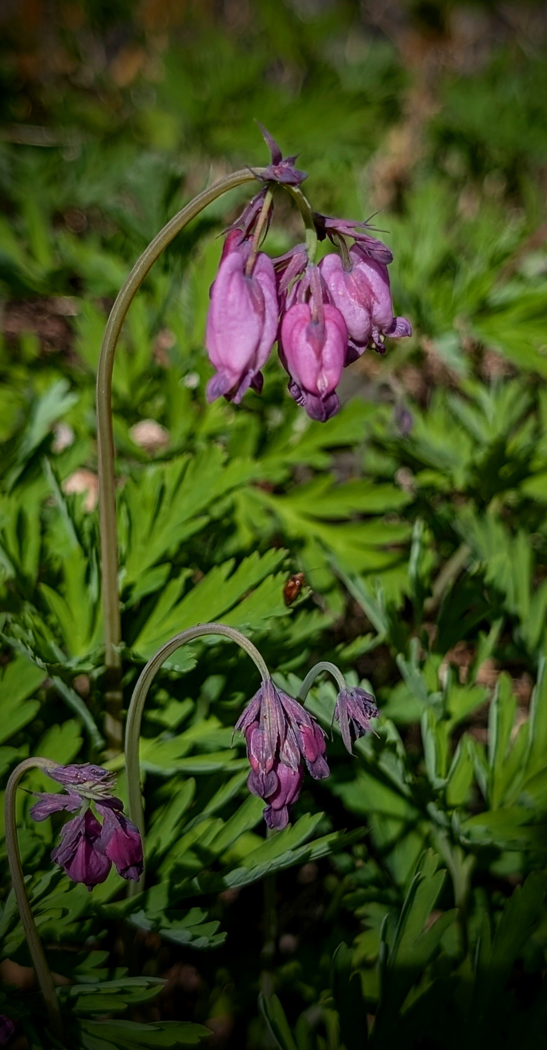 PXL_20260509_205826253~2.jpg