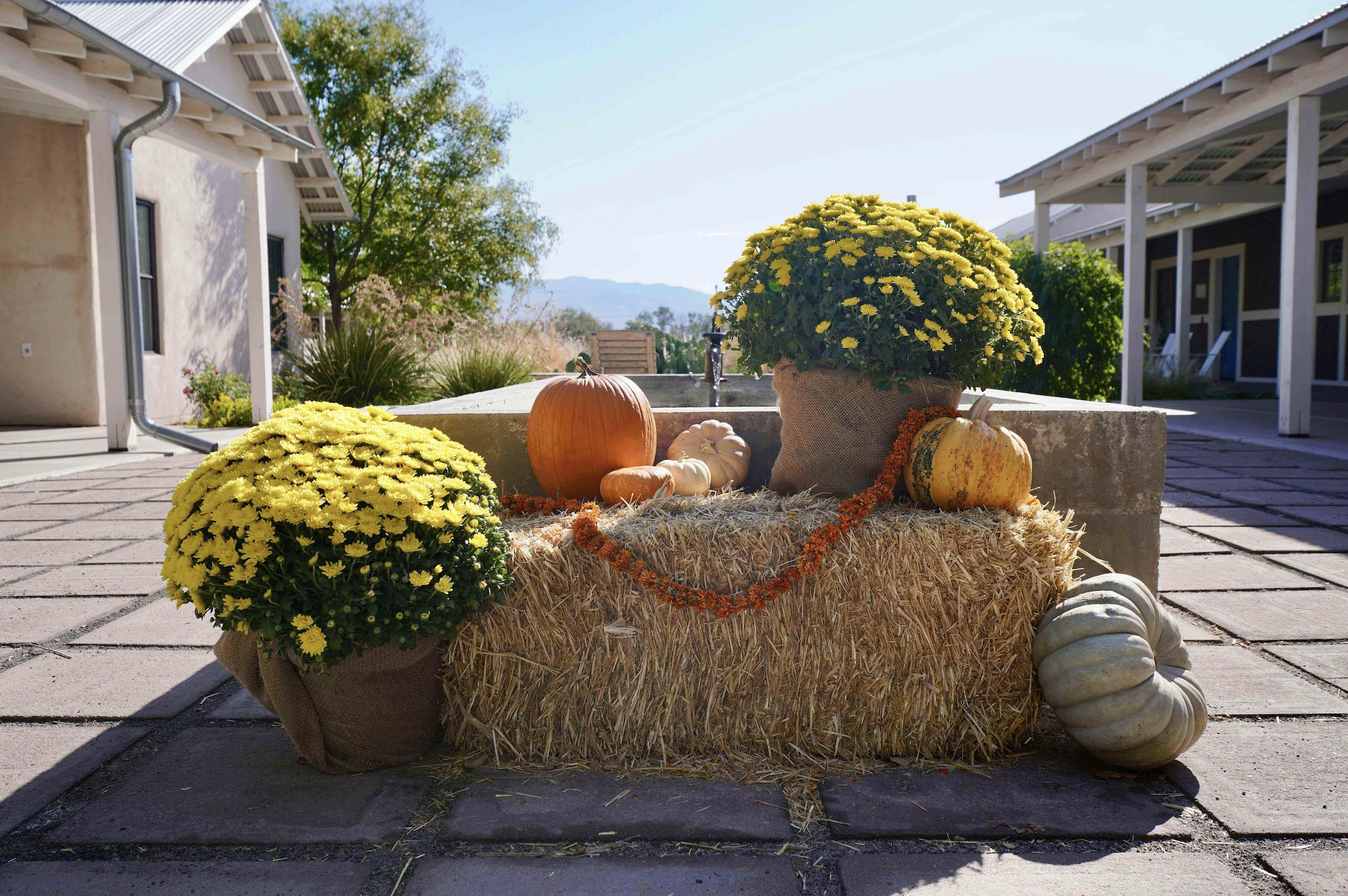 Pumpkins, mums, and hay for porch styling in Virginia Beach