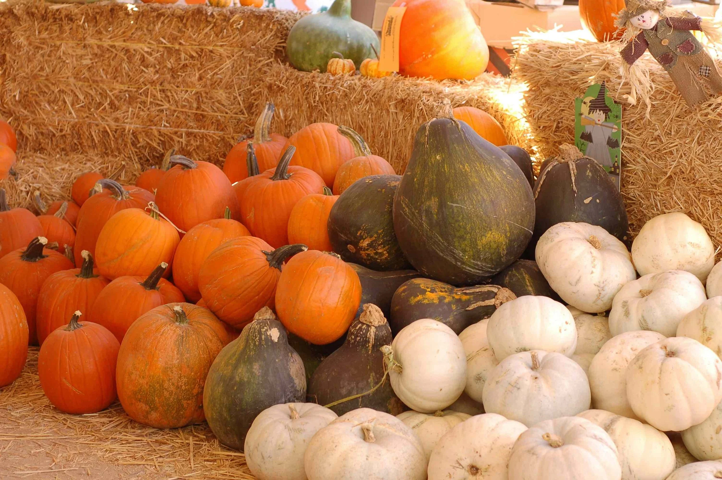 Pumpkins and hay for porch styling in Virginia Beach