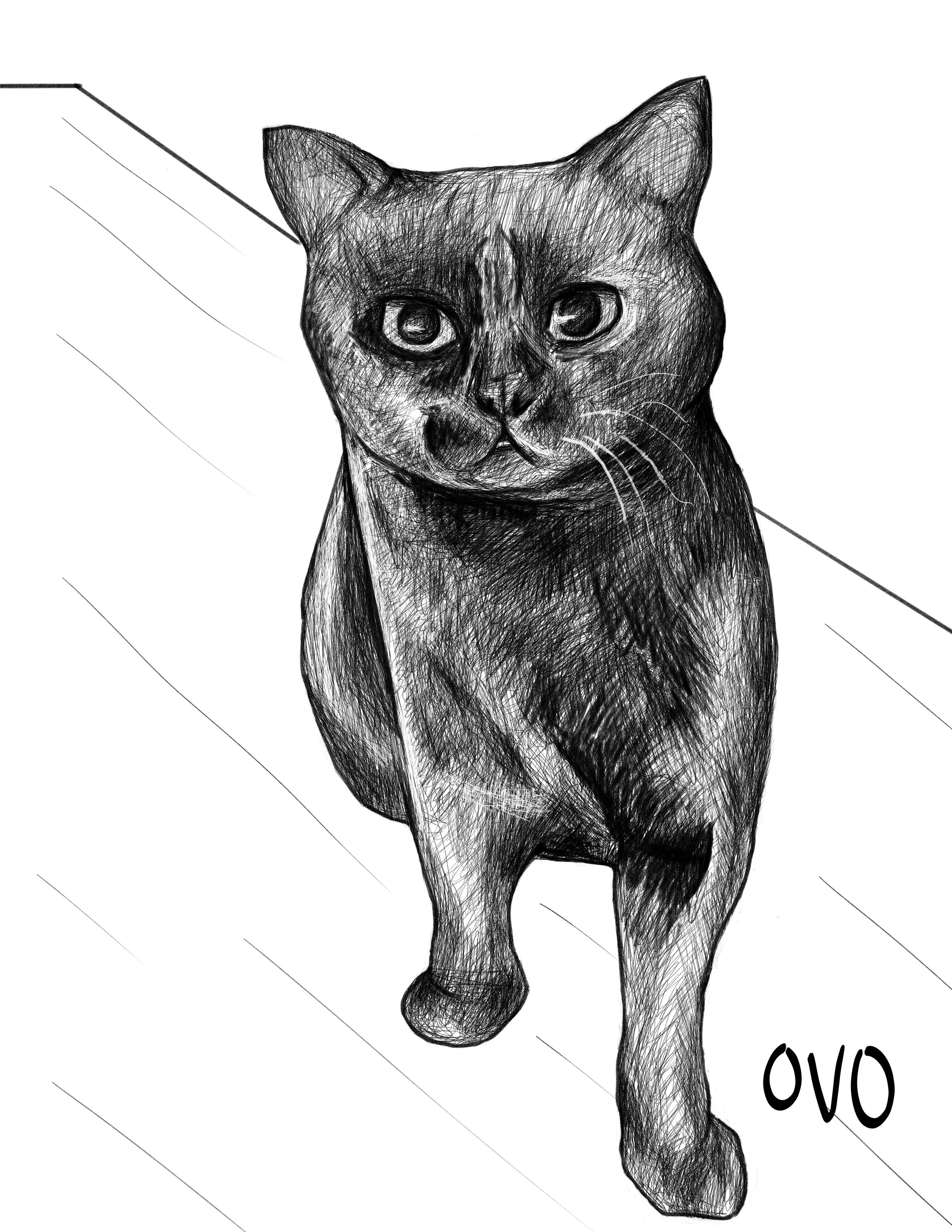 Tunzi_July_Ovo.jpg