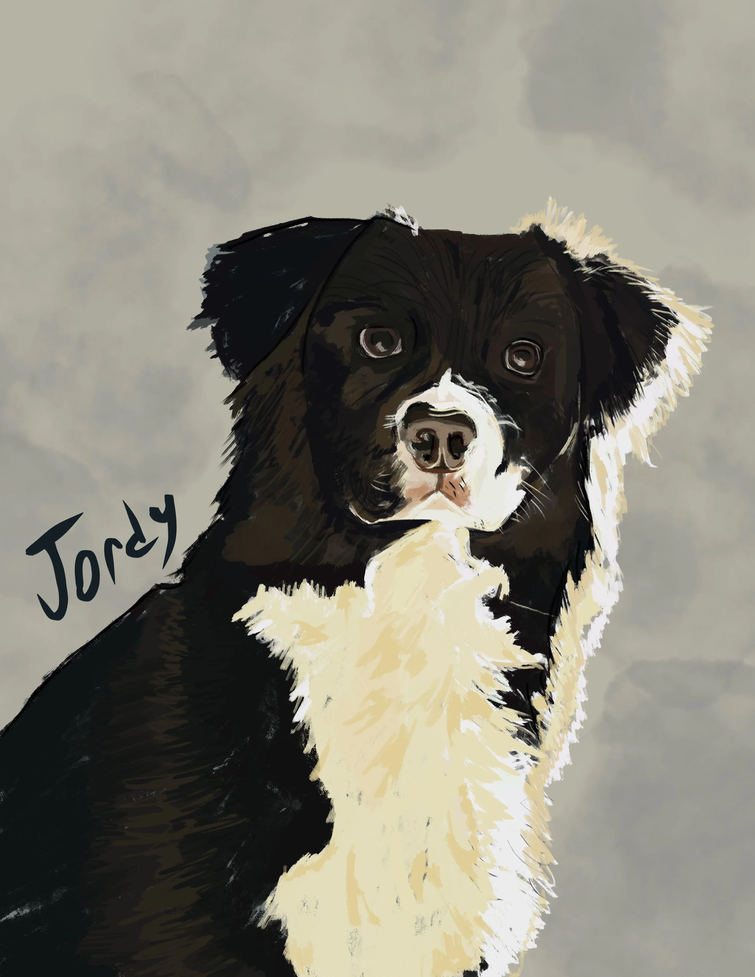 jordy.jpg